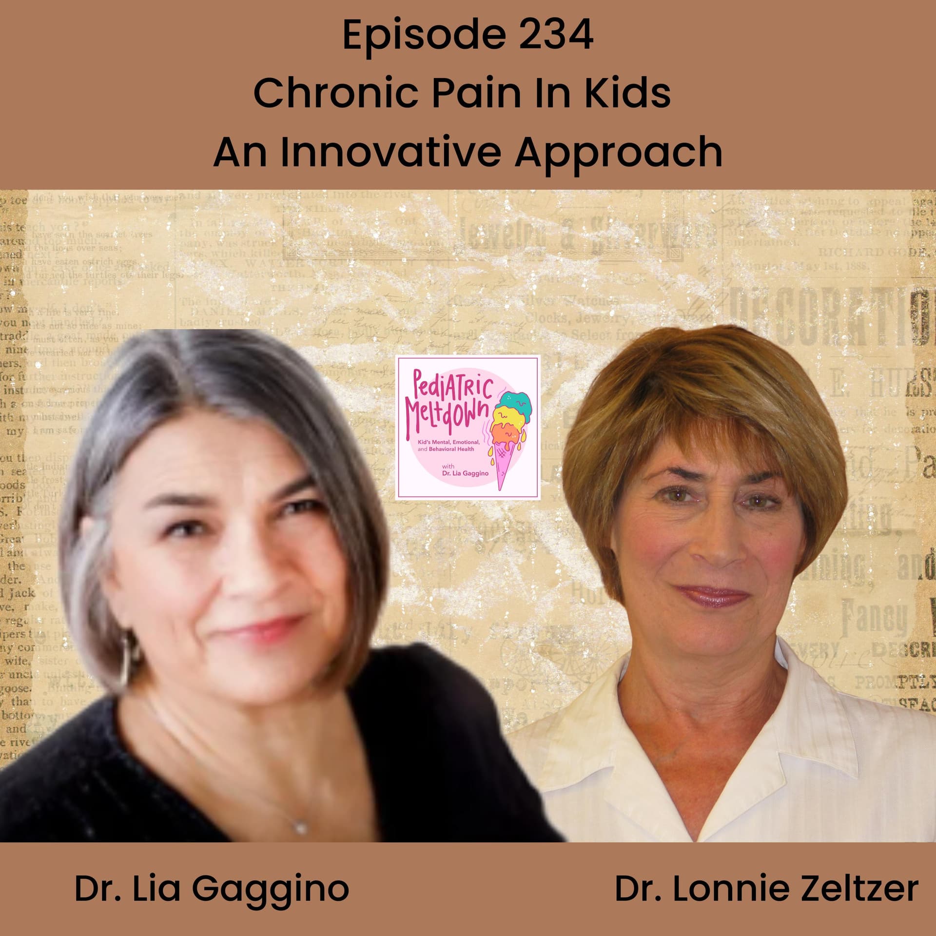 234.  Chronic Pain in Kids:  An Innovative Approach - Pediatric Meltdown cover