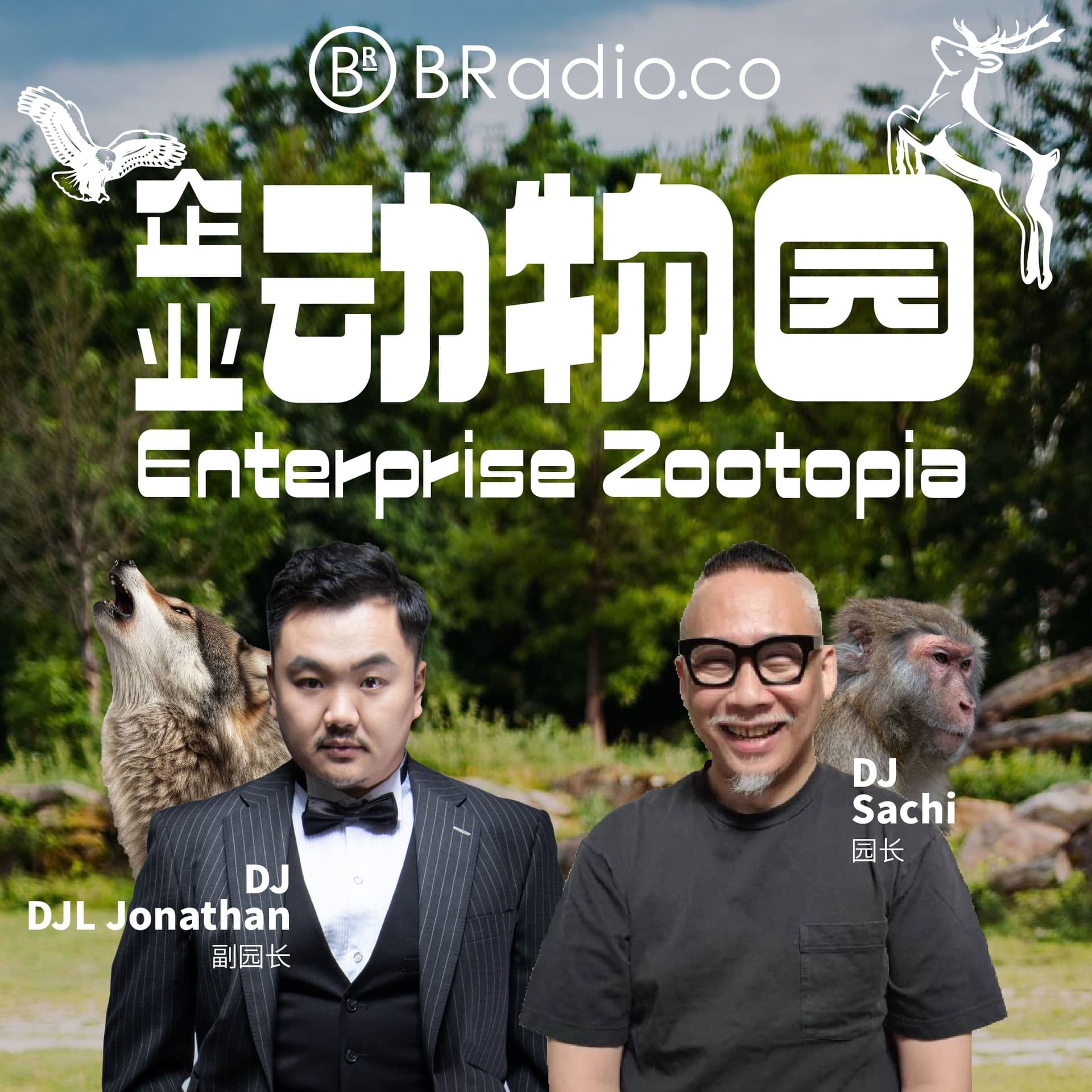 BRadio：企业动物园 cover