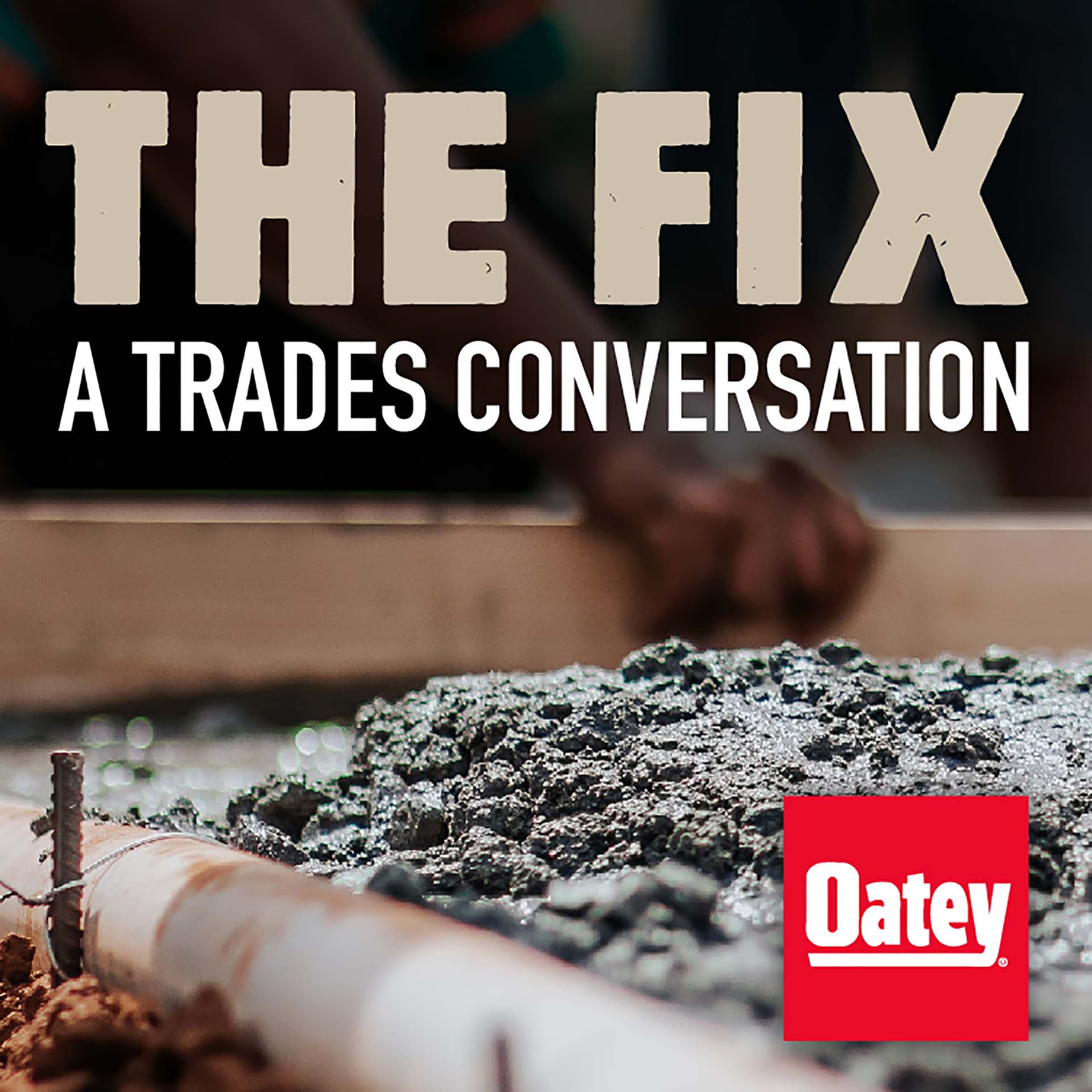 The Fix cover