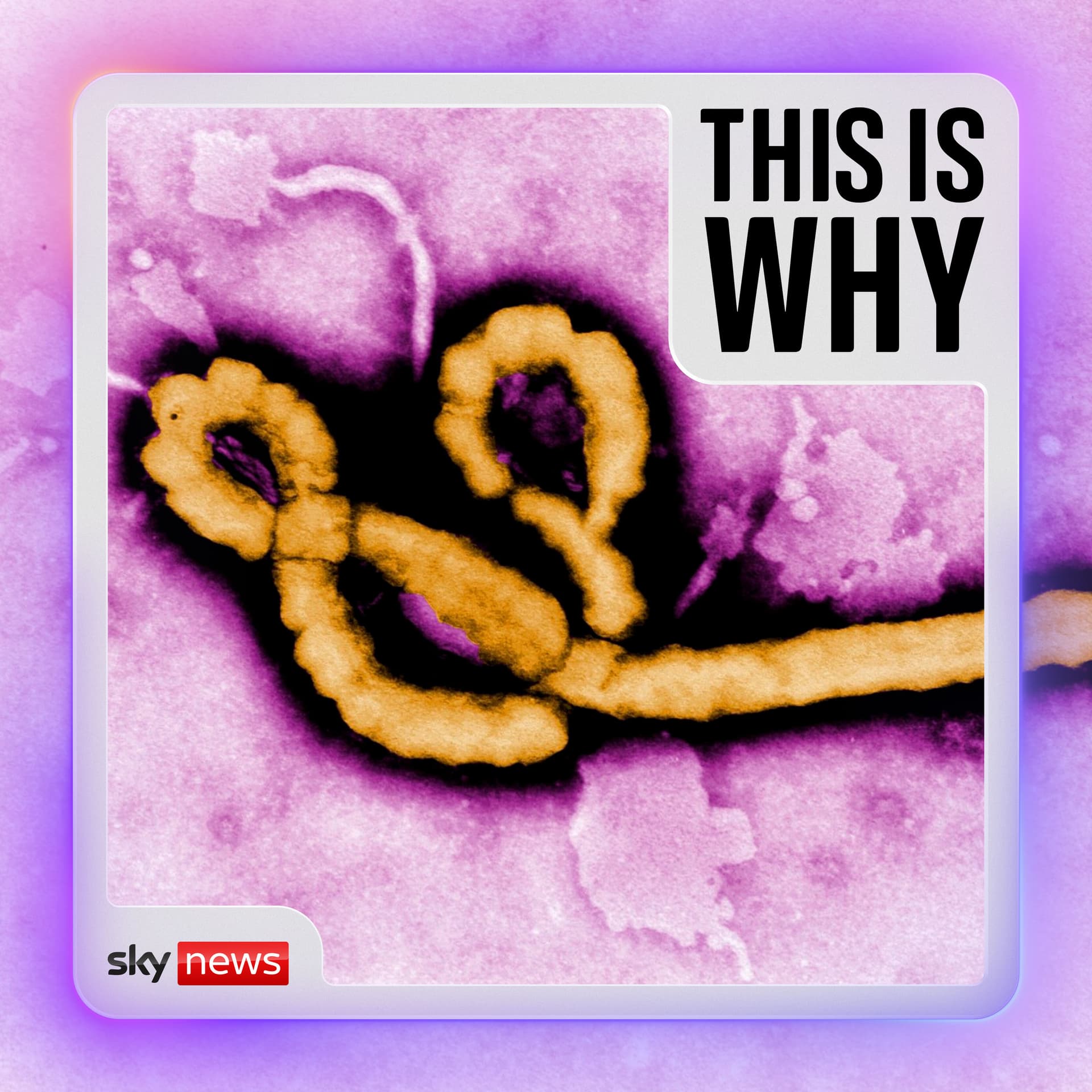 Why the world should care about Africa’s latest Ebola outbreak — This Is Why cover