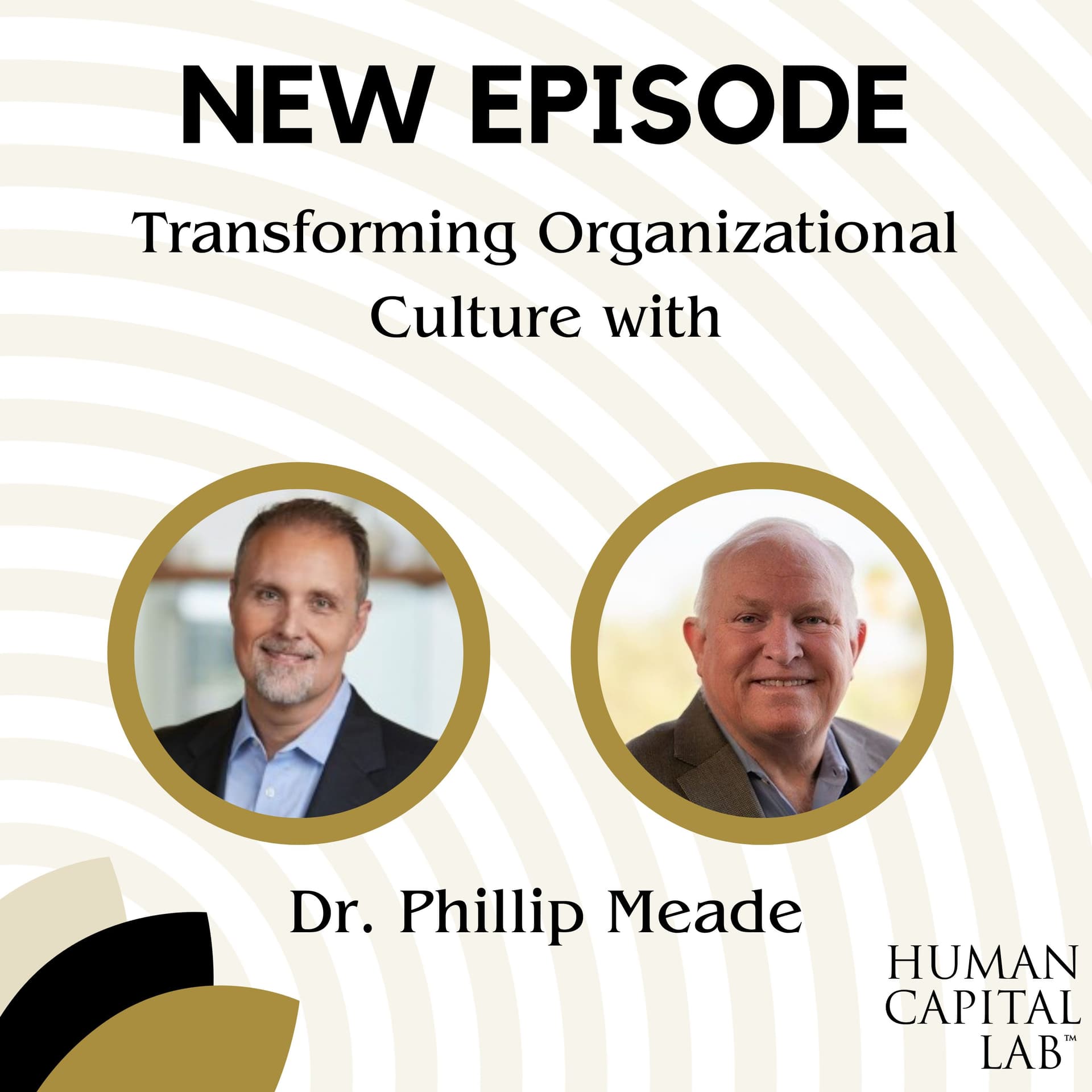 Transforming Organizational Culture with Phillip Meade, Ph.D. - Human Capital Lab cover