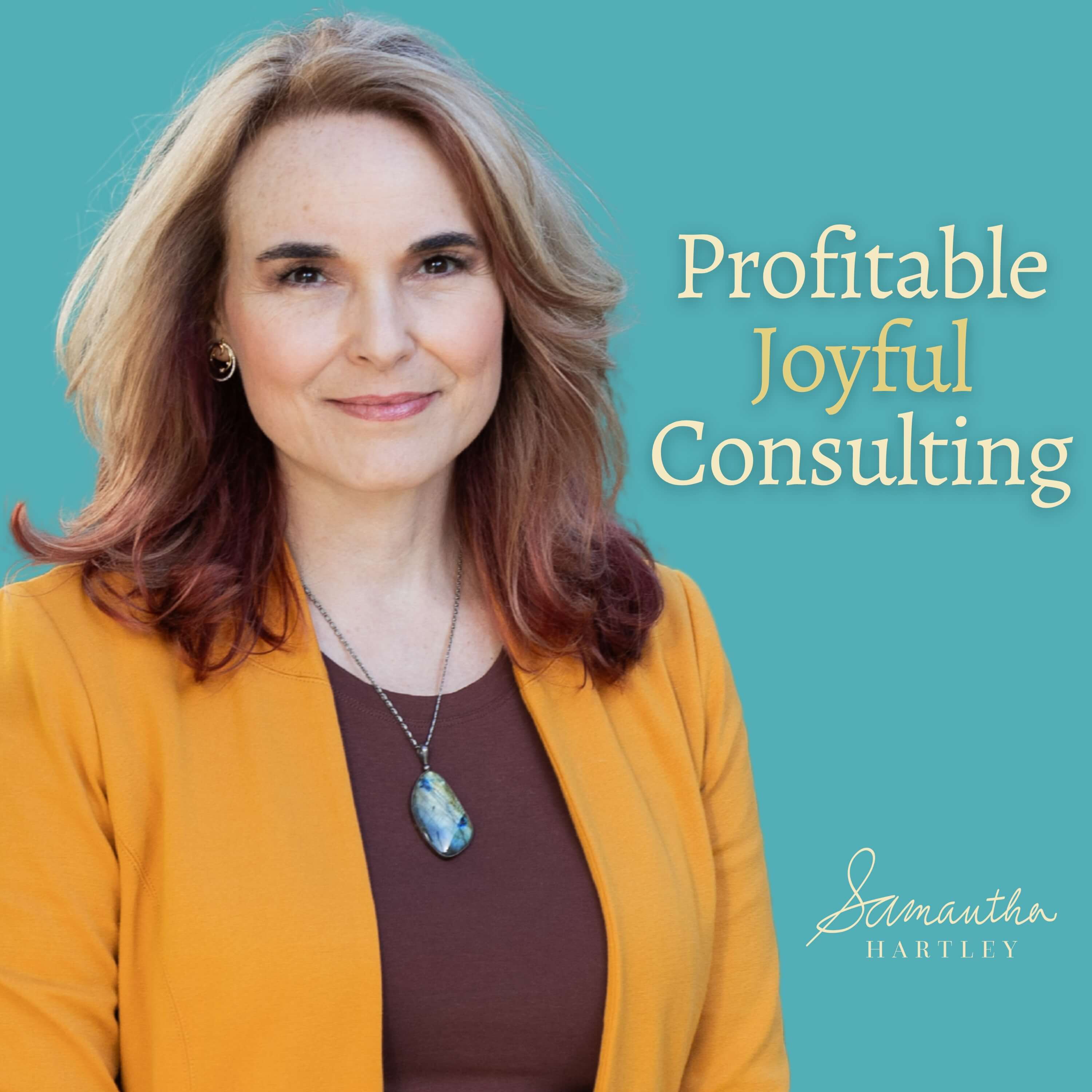 Profitable Joyful Consulting cover