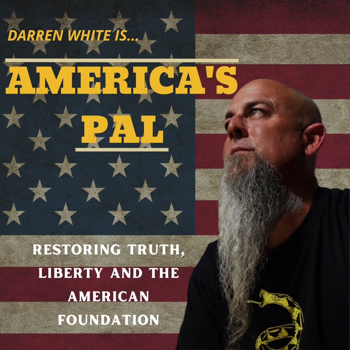 America's Pal Episode 8 4th of July Florida Man and 3rd Degree Burns - America's Pal cover