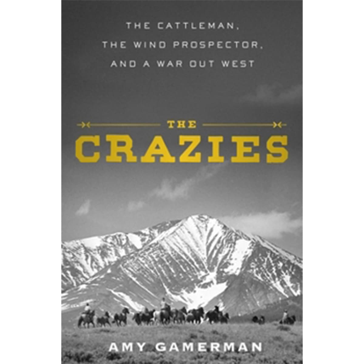 Amy Gamerman - The Crazies - A Book with Legs cover