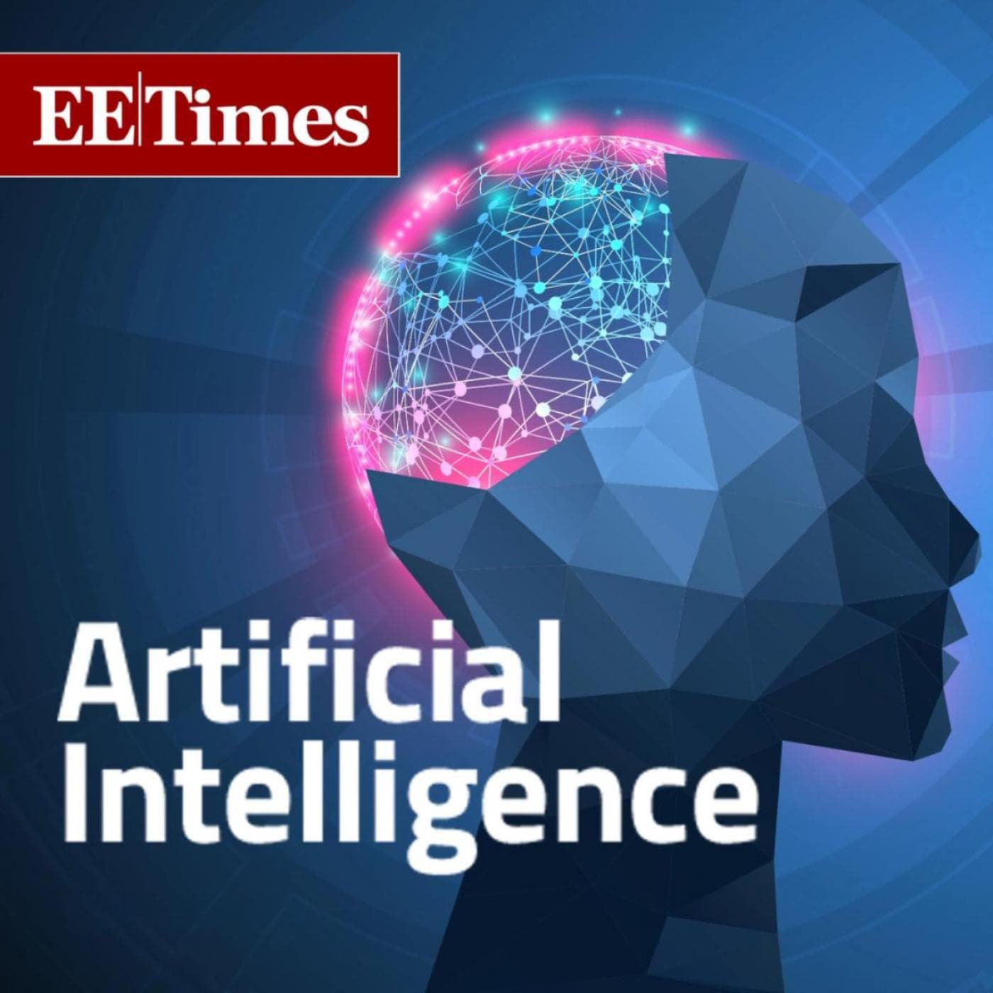 AI with Sally Ward-Foxton cover
