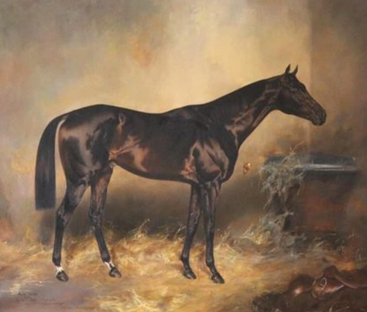 Treasure in Heaven - Celestial Mapmakers cover