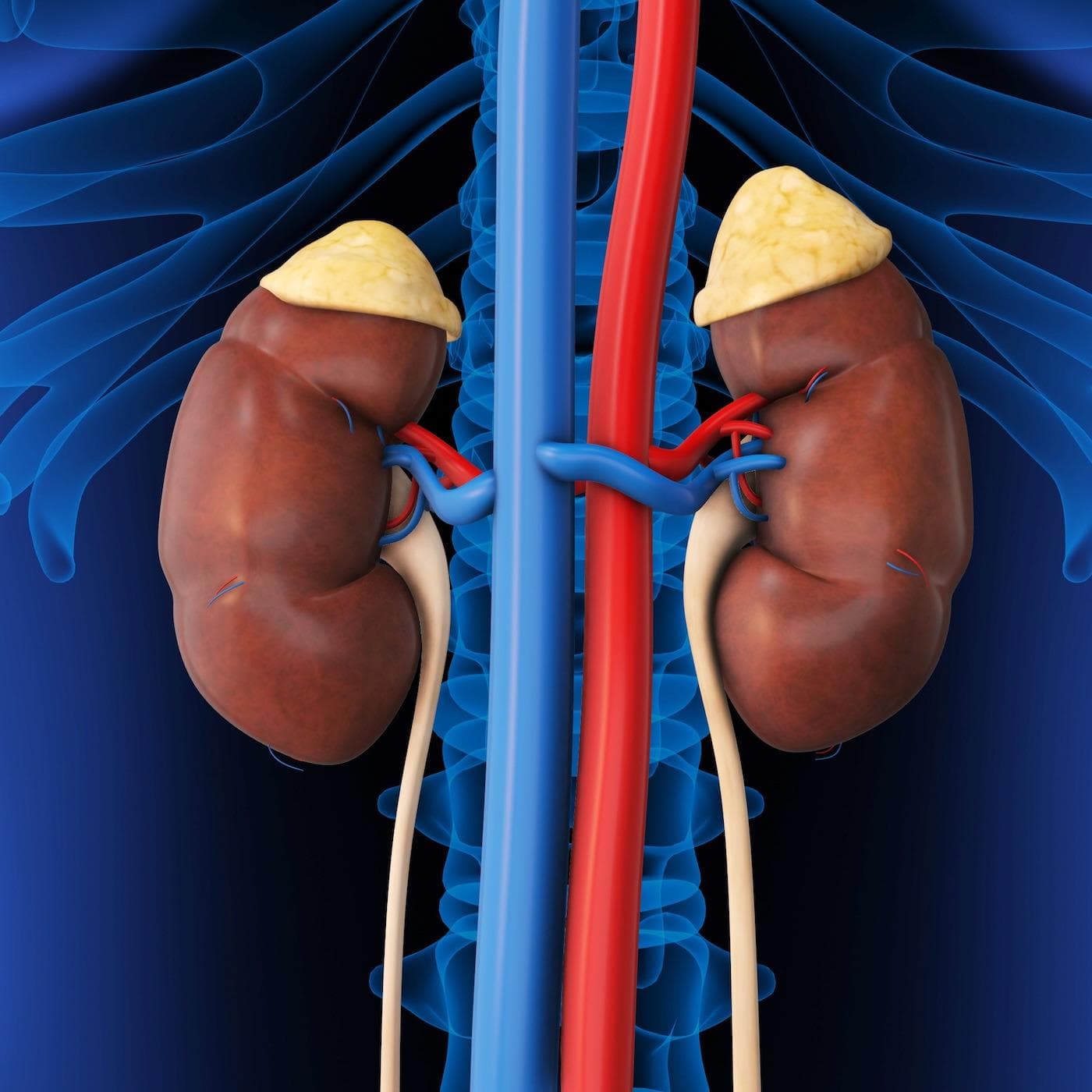 Adrenal Insufficiency - EMplify by EB Medicine cover