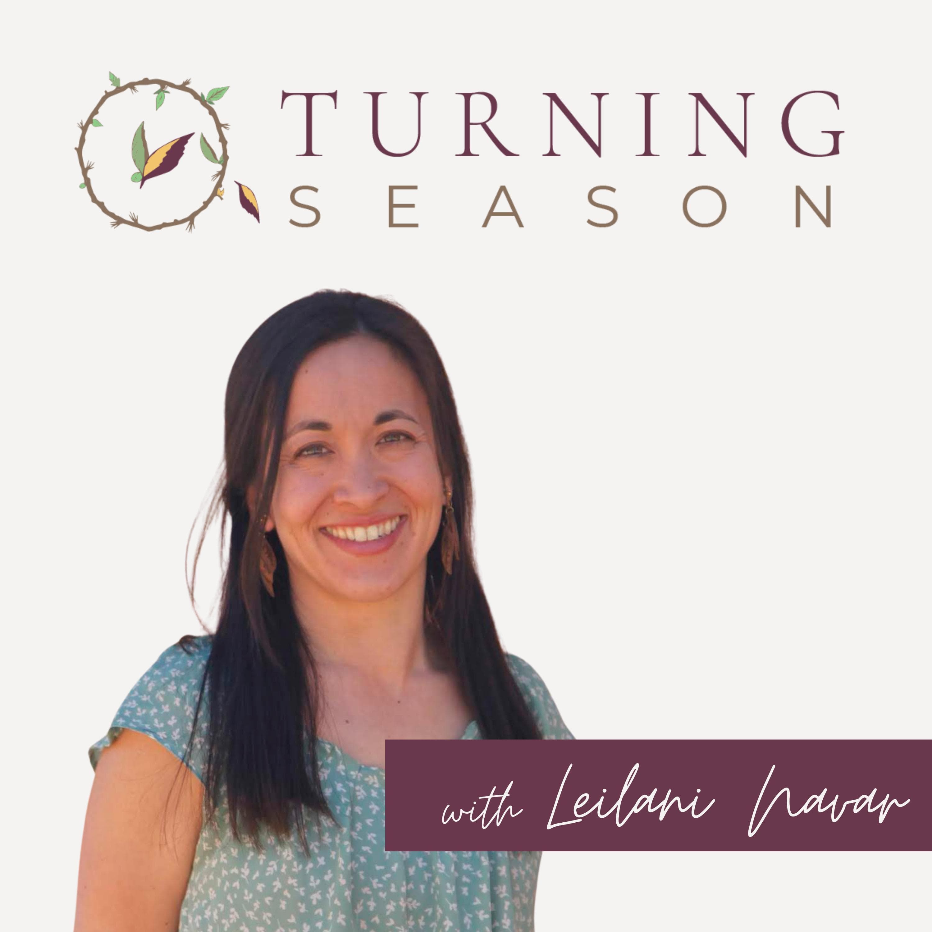 Turning Season: Conversations with Changemakers in Our Adventure Toward a Life-Sustaining Society cover