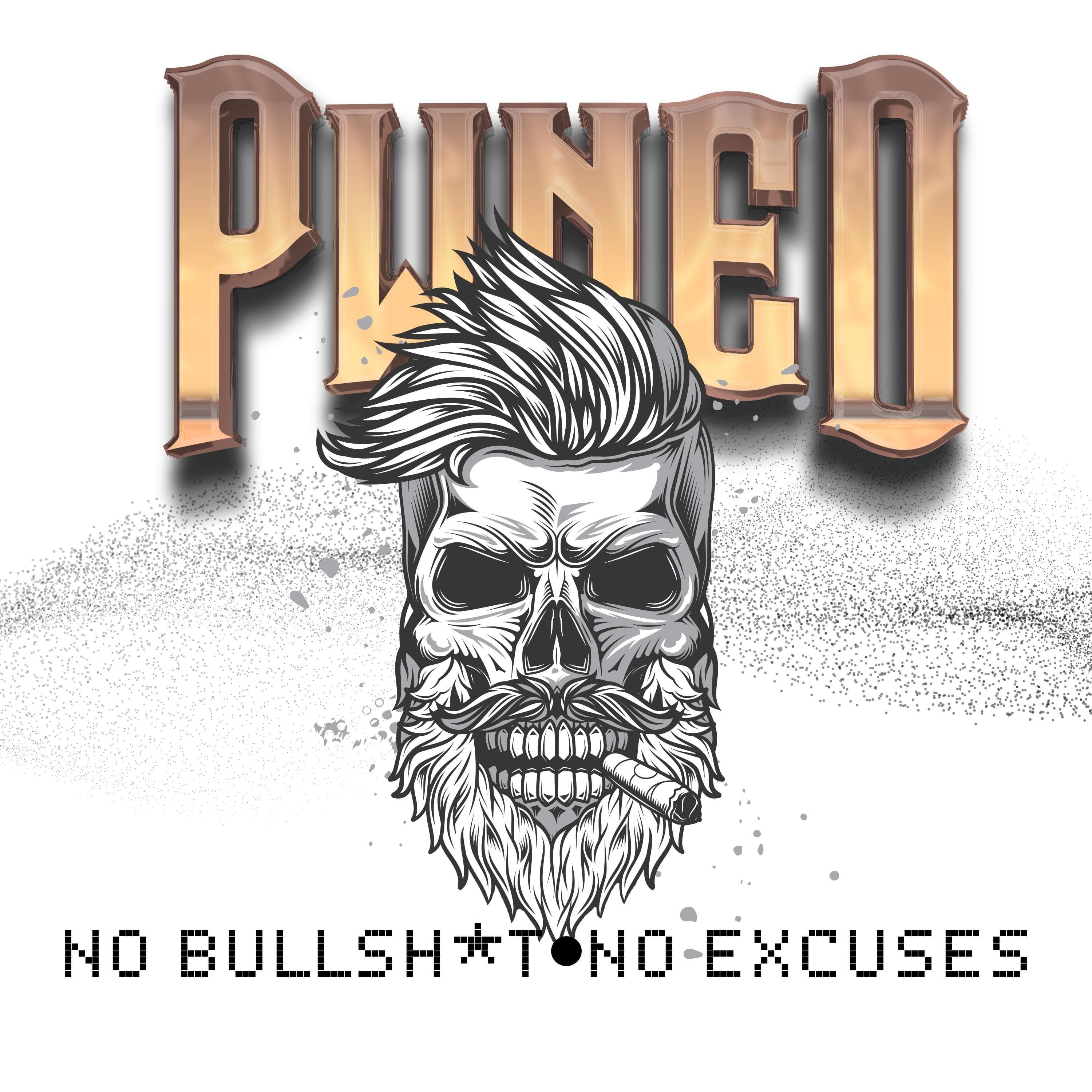 Pwned: The Information Security Podcast cover