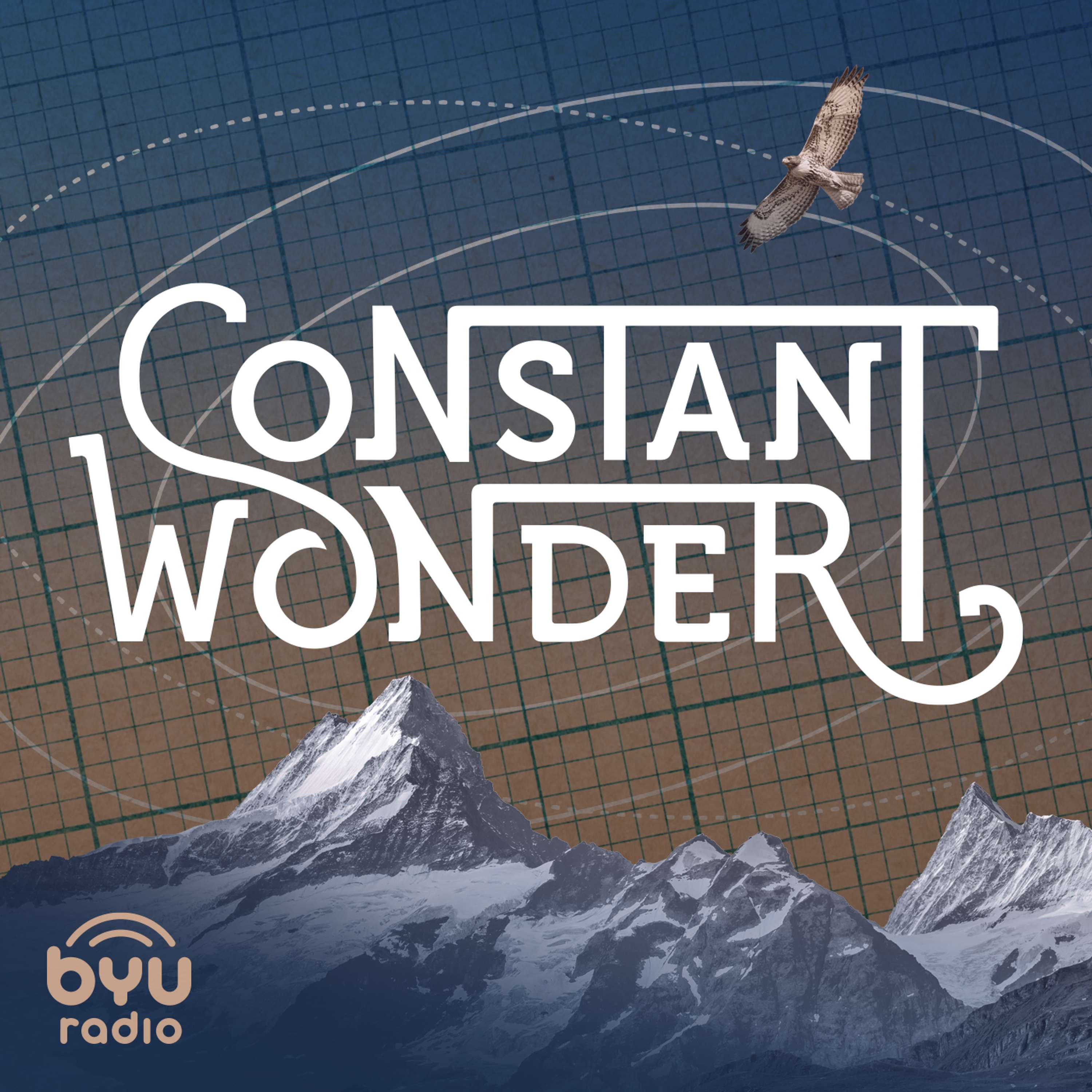 Constant Wonder cover