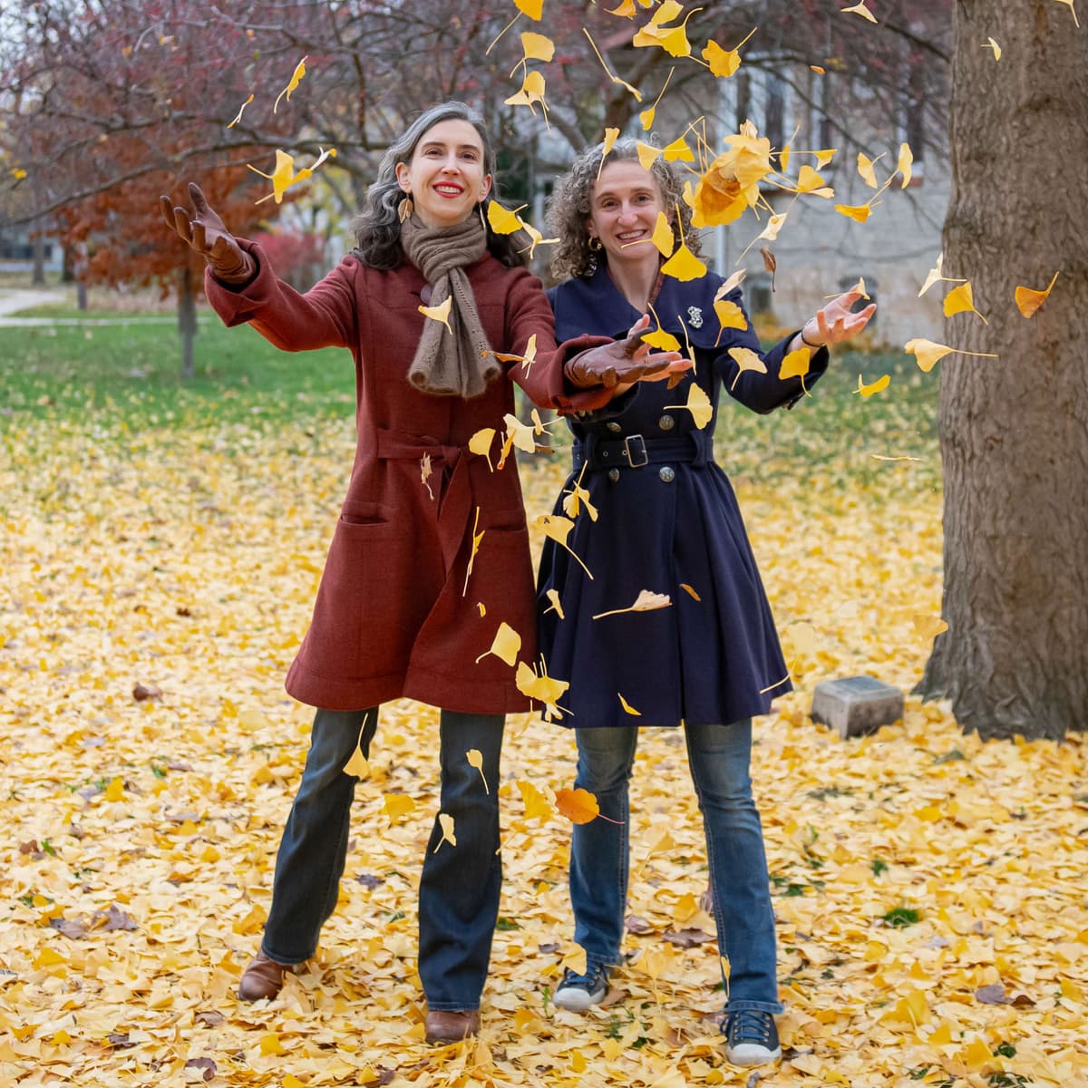 A Town Made Of Leaves Brought Beauty and Hope - Constant Wonder cover