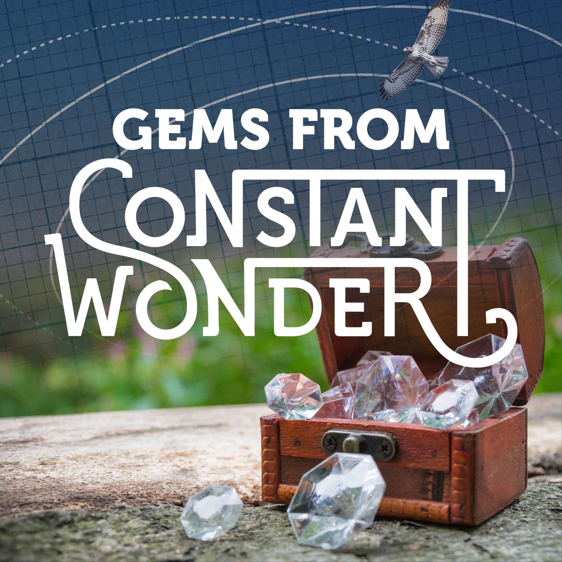 Gems from Constant Wonder: Adventures in Nature - Constant Wonder cover