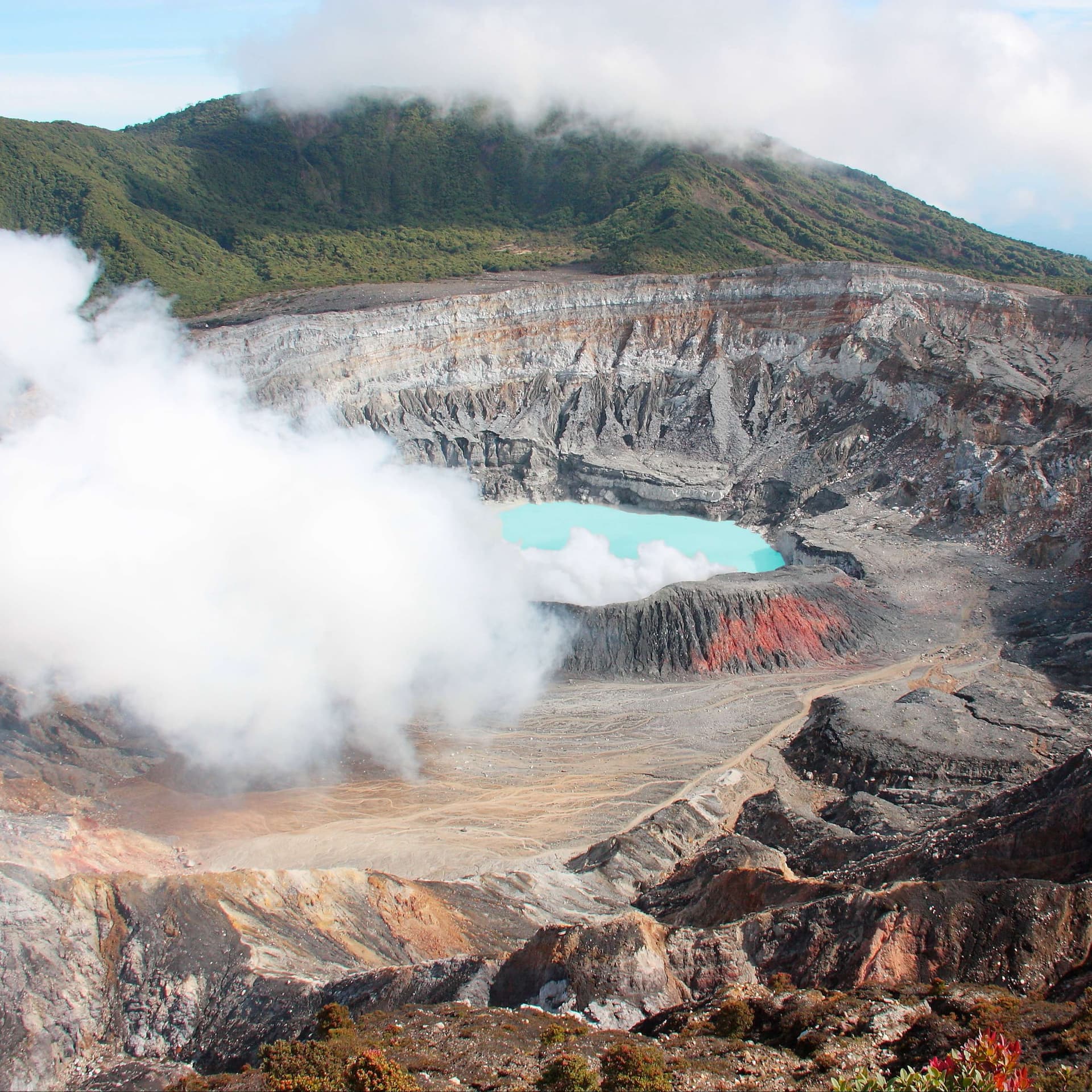 One Scientist's Search For Life In Extreme Places — Constant Wonder cover