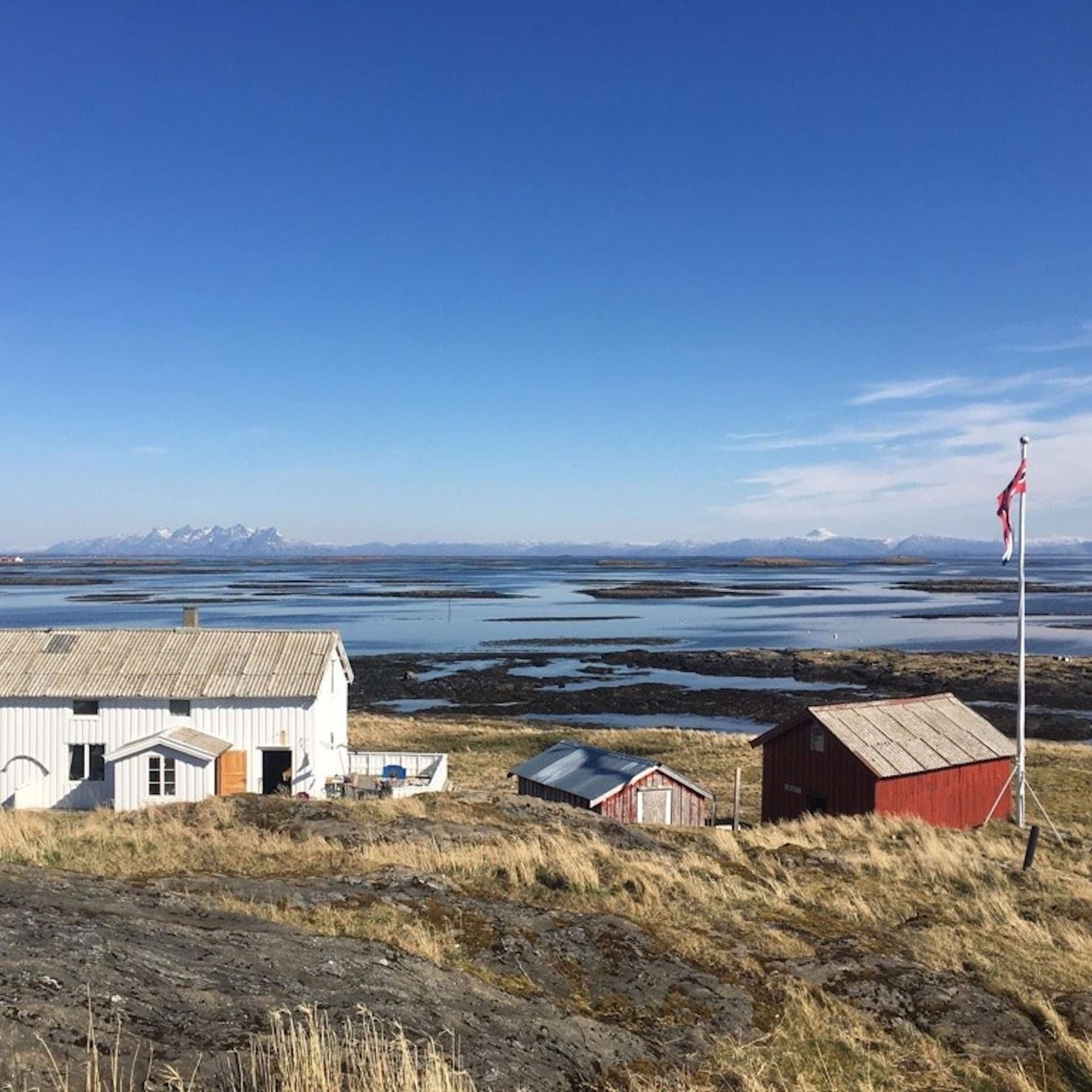 Collecting Eiderdown on the Rugged Rocks of the Atlantic — Constant Wonder cover