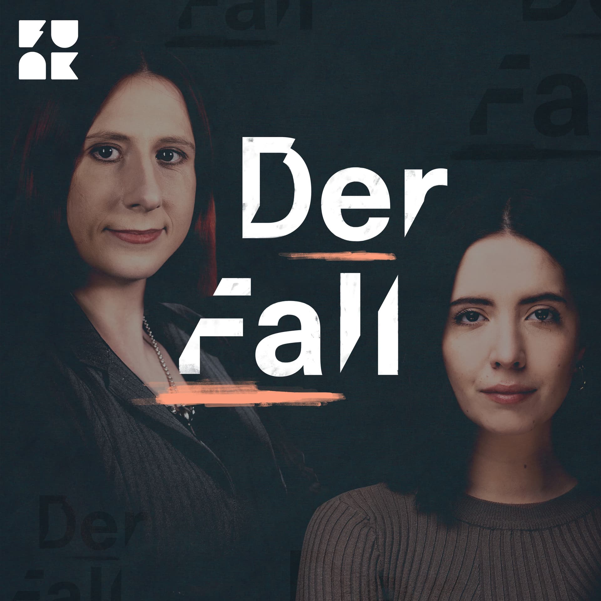 Der Fall cover
