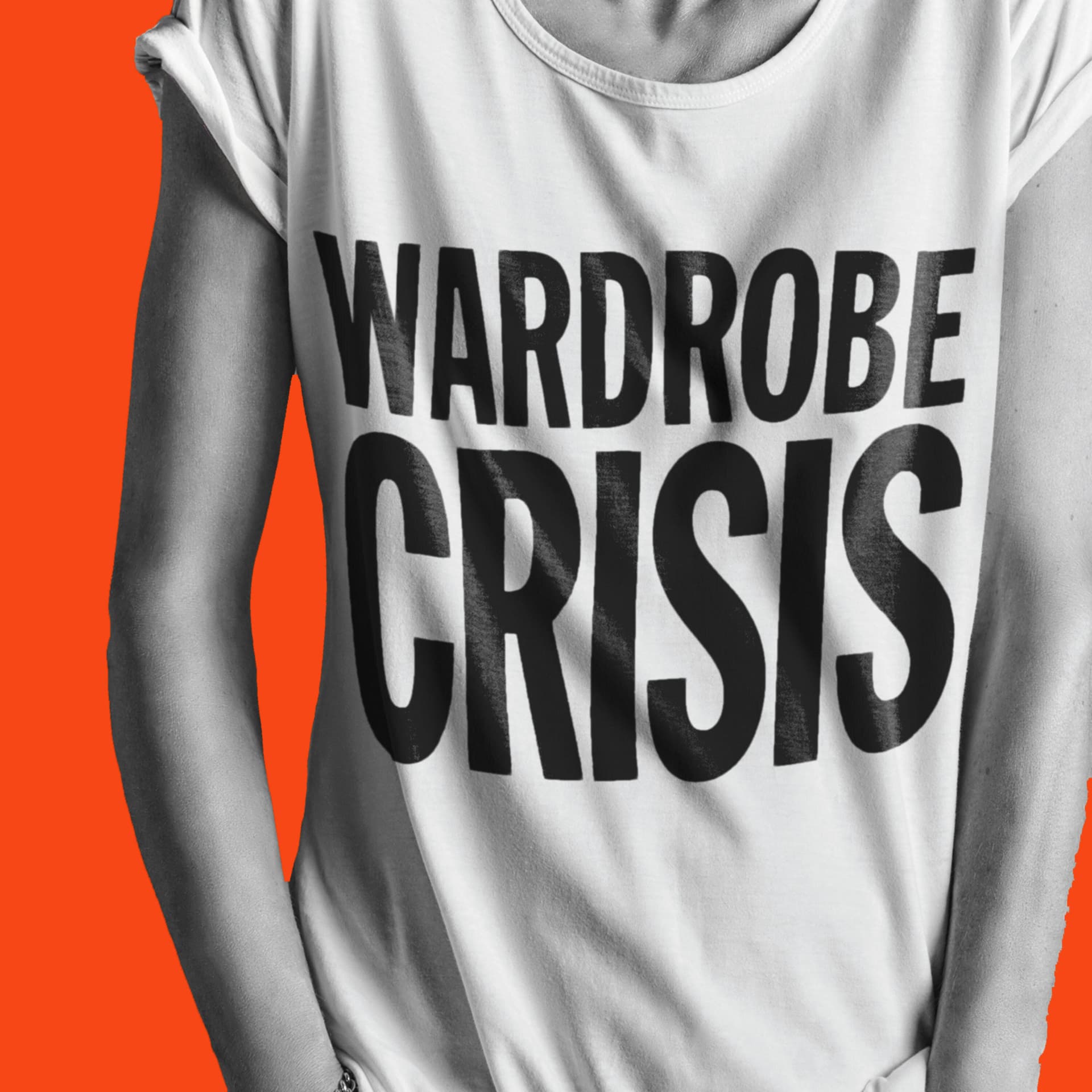 Commercial Break - A Lovely Conversation on Noticing Birds - WARDROBE CRISIS with Clare Press cover