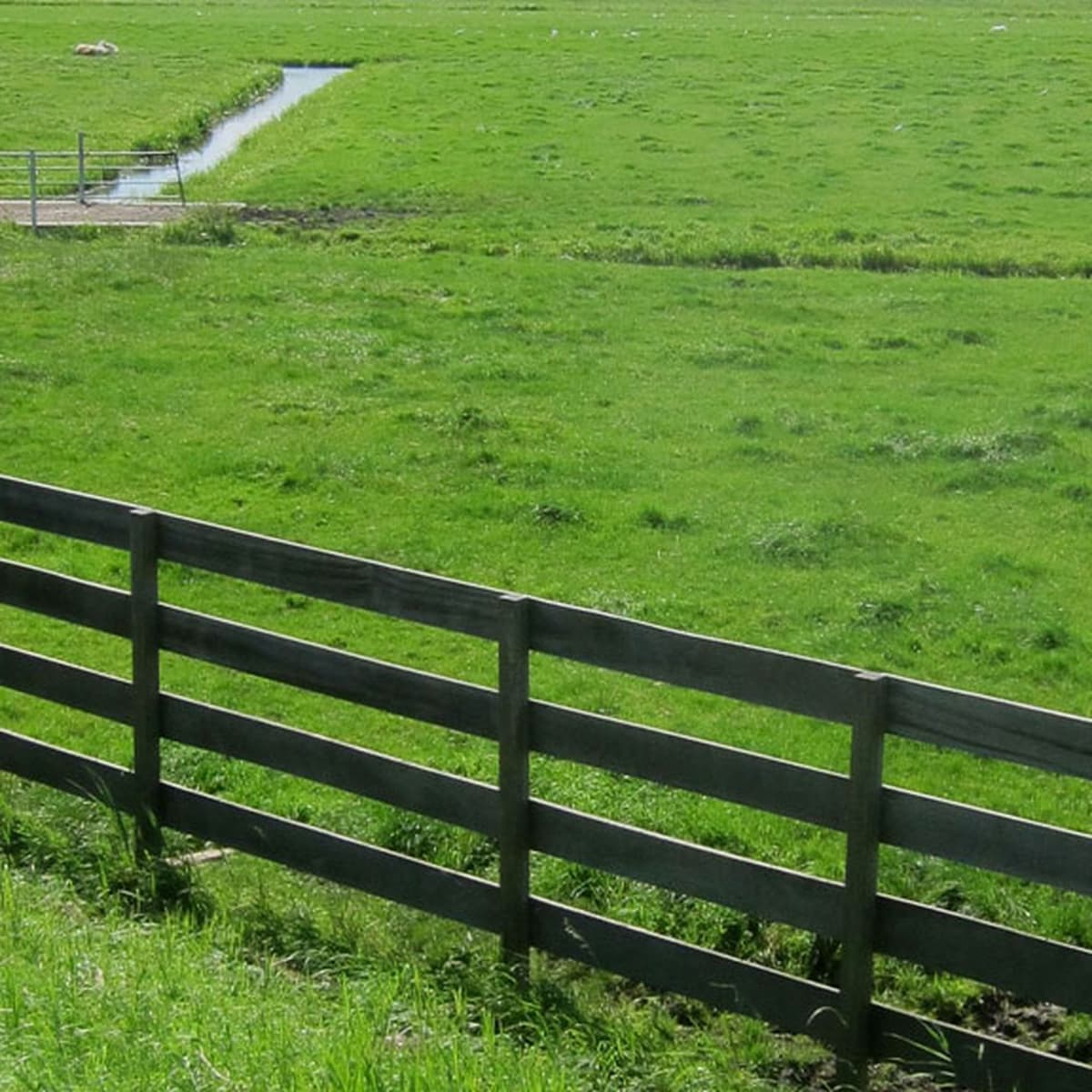 DTD: 173 - Johnny and Freddie do the Isle of Wight - DumTeeDum - A show about BBC Radio's 'The Archers'  cover