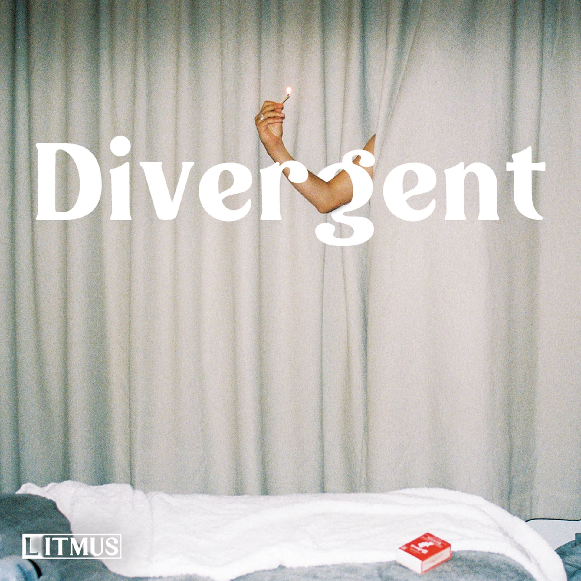 Zebrafish Neuro - Divergent cover