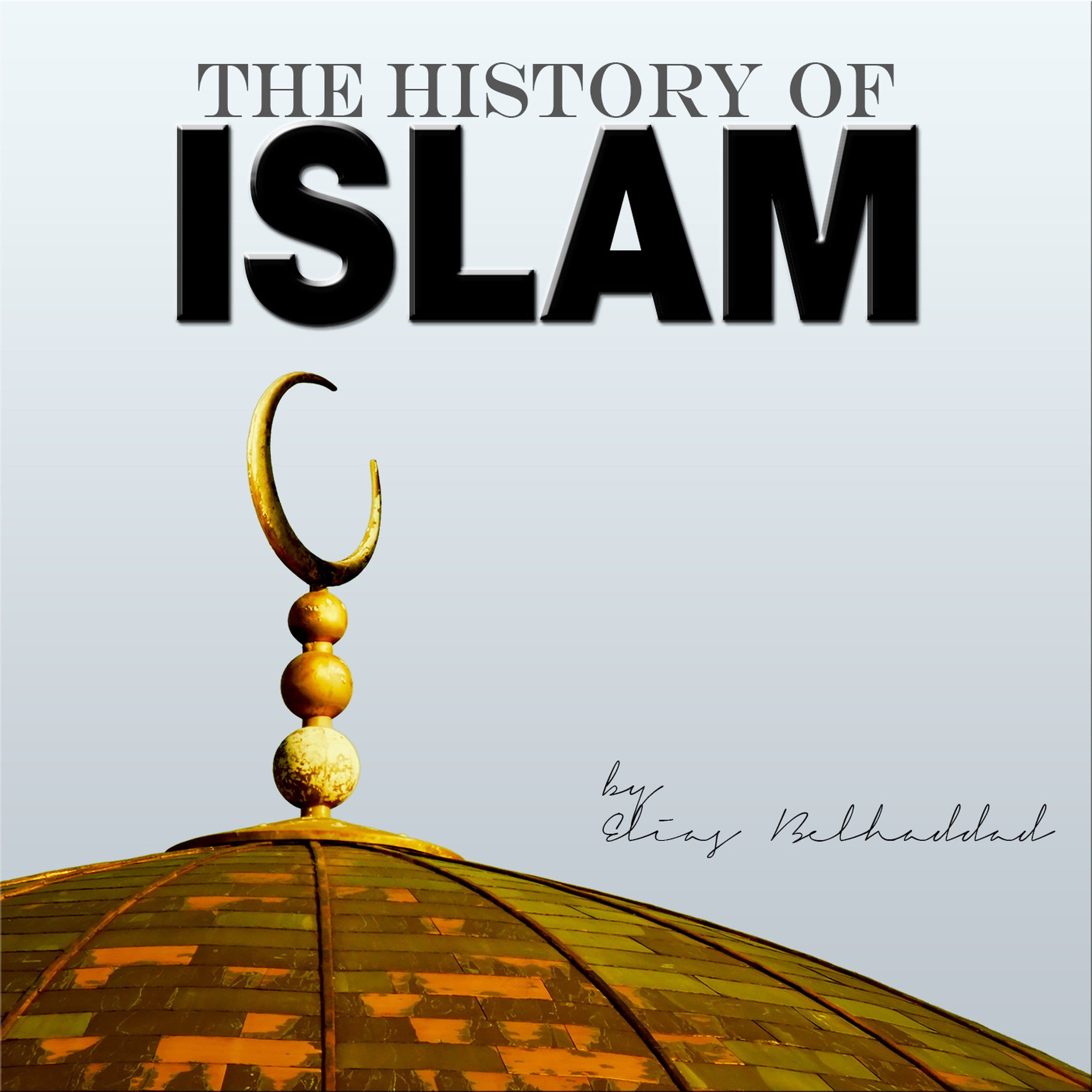 Episode 012 - Rise & Warn - The History of Islam Podcast cover