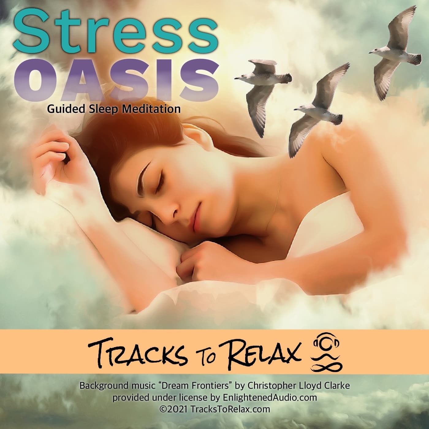Stress Oasis Sleep Meditation - Tracks To Relax Meditations cover