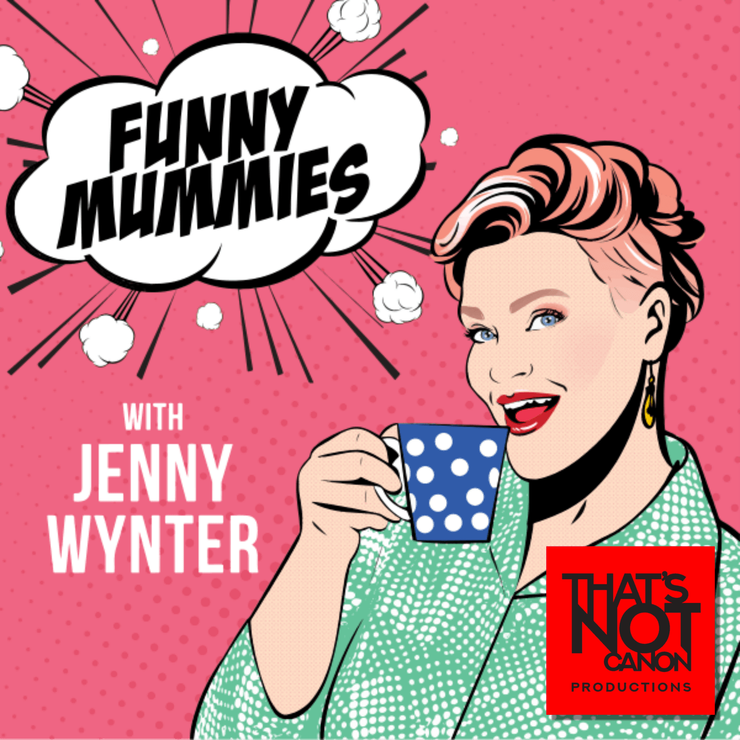 Funny Mummies cover