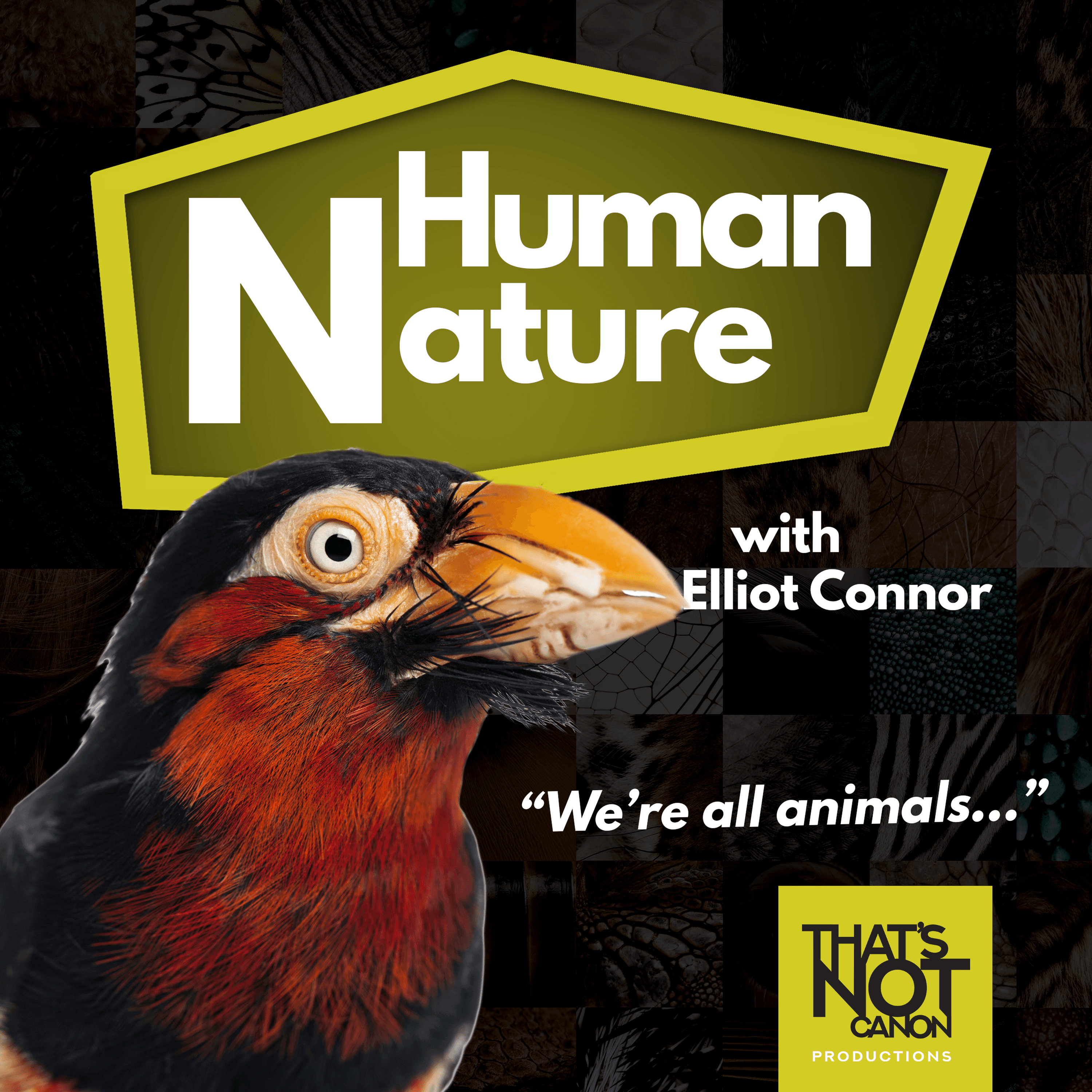 S3E4: Ellen & Octopuses - Human Nature Cast cover