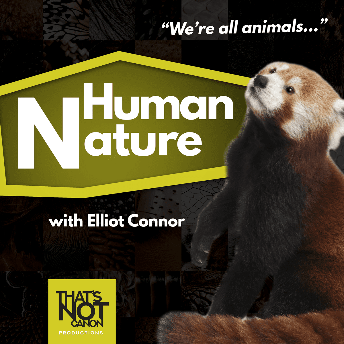 S3E1: Butzi and Foxes - Human Nature Cast cover