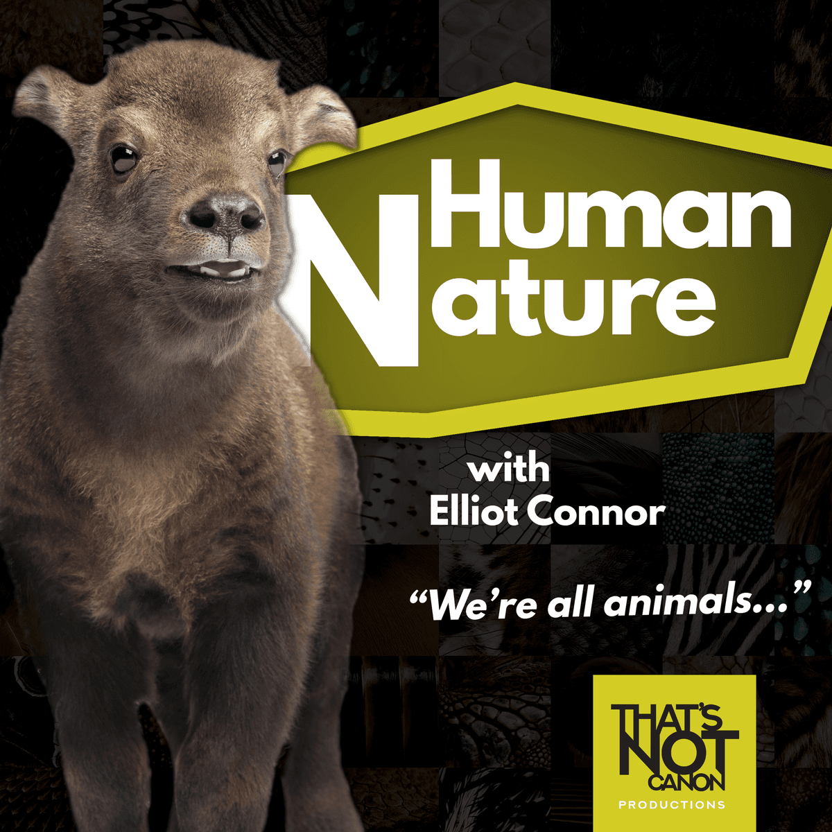 S2E6: David Rosen and Dogs - Human Nature Cast cover