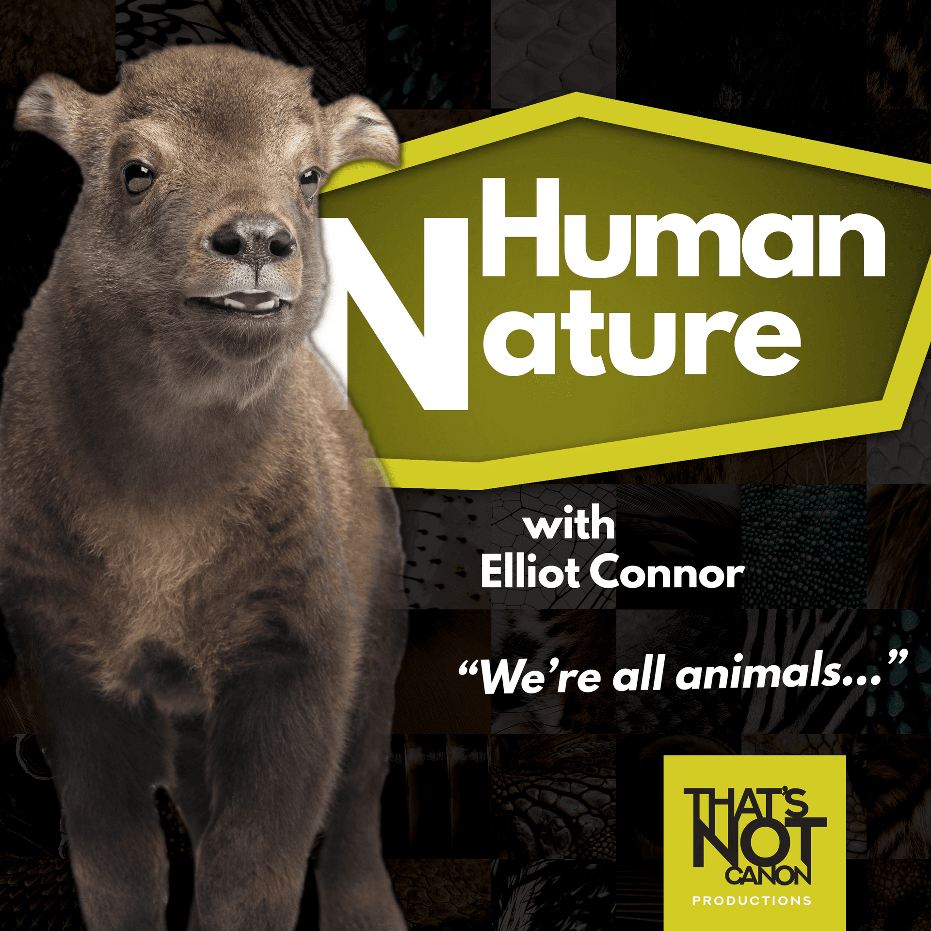 S2E6: David Rosen and Dogs - Human Nature Cast cover