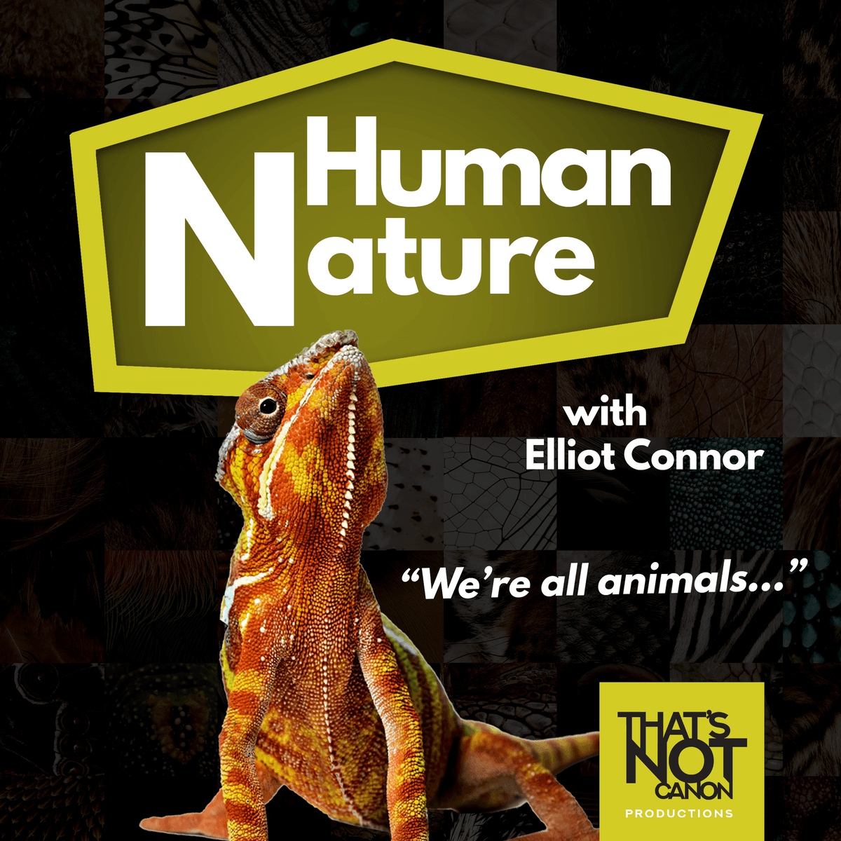 S2E5: Roy Kimhi and Sharks - Human Nature Cast cover