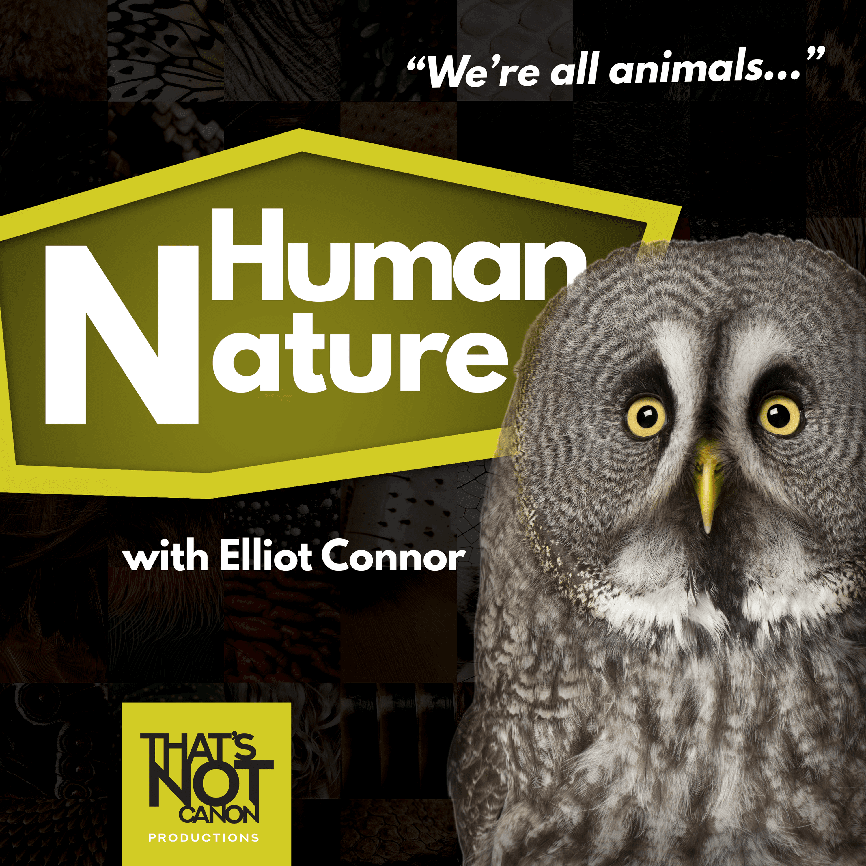 S2E4: Nils Bouillard and Bats - Human Nature Cast cover
