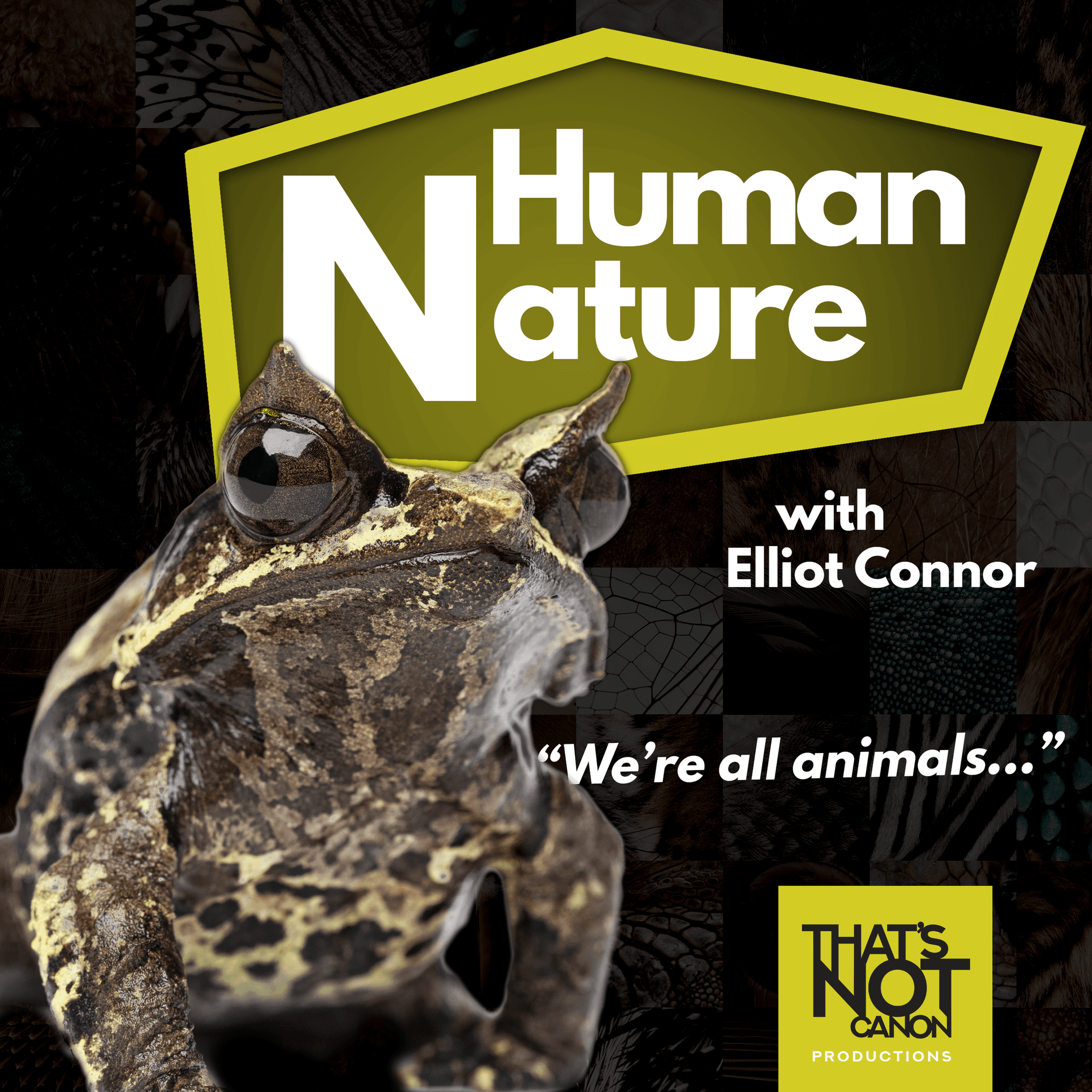 S2E2: Juan Bejjani and Poison Dart Frogs - Human Nature Cast cover