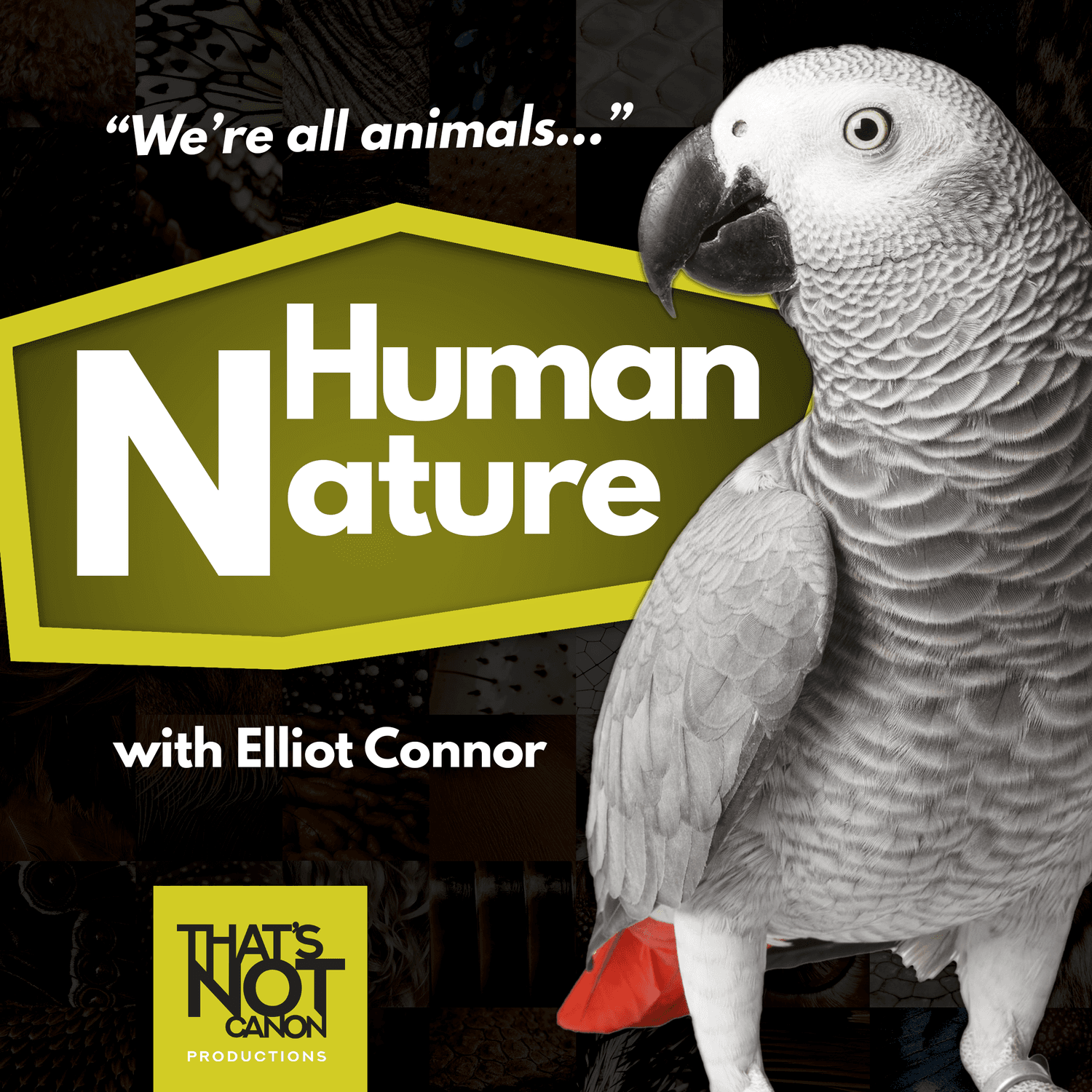 Human Nature Cast cover