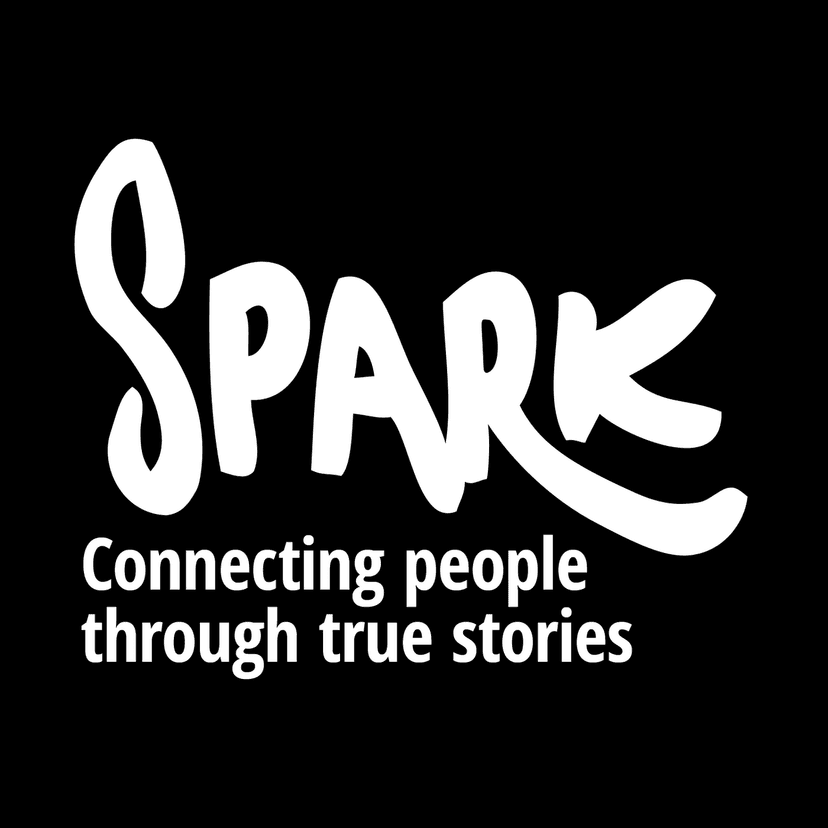 Spark - True Stories Live cover