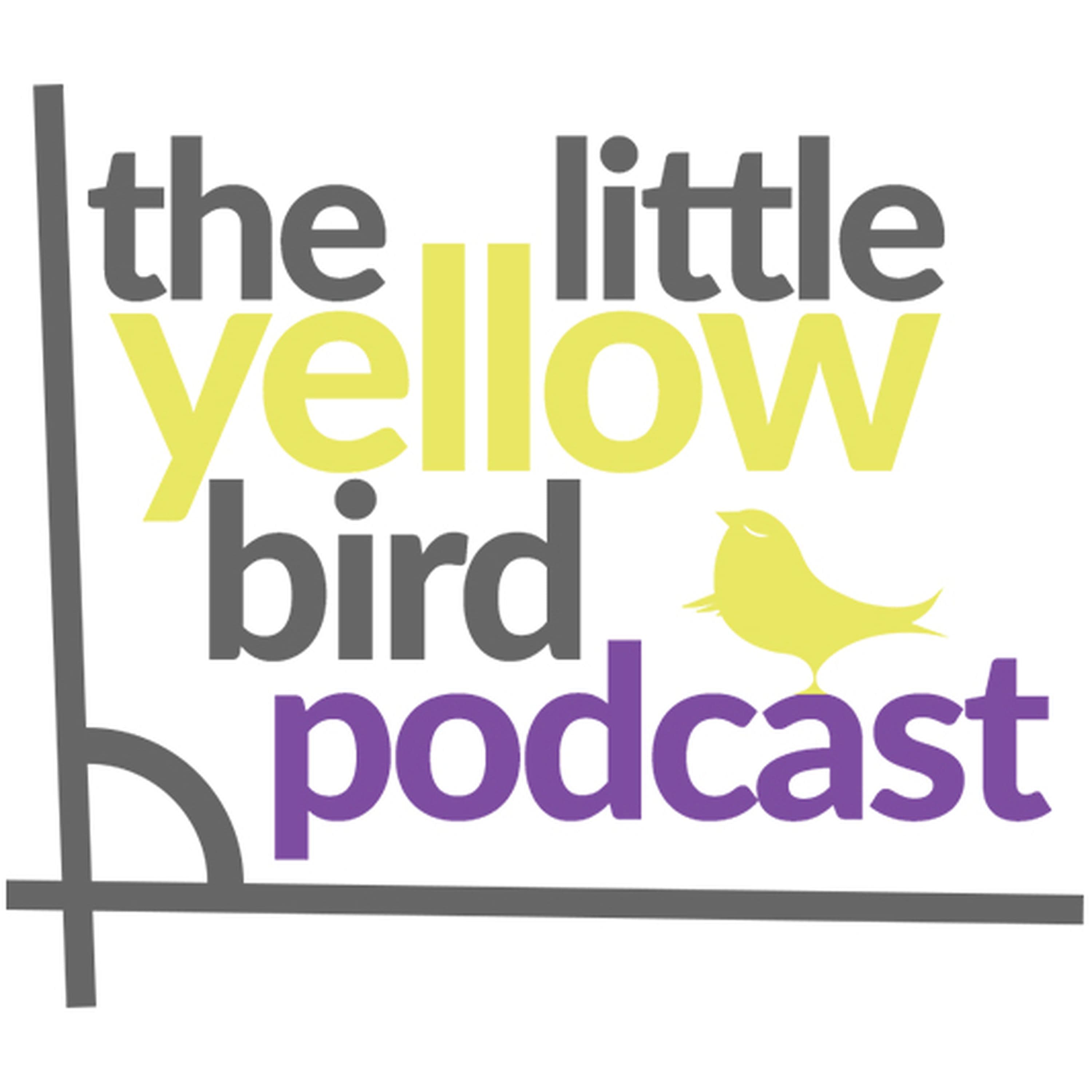 The David McNally Interview - The Little Yellow Bird Podcast cover