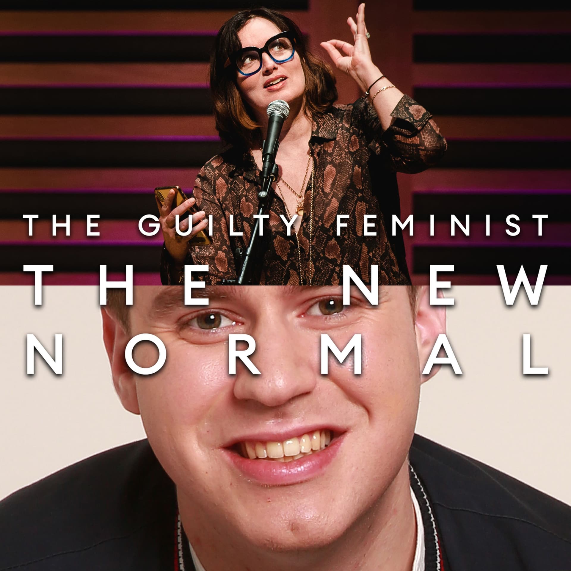 047 Ned Sedgwick - The Guilty Feminist - The New Normal cover