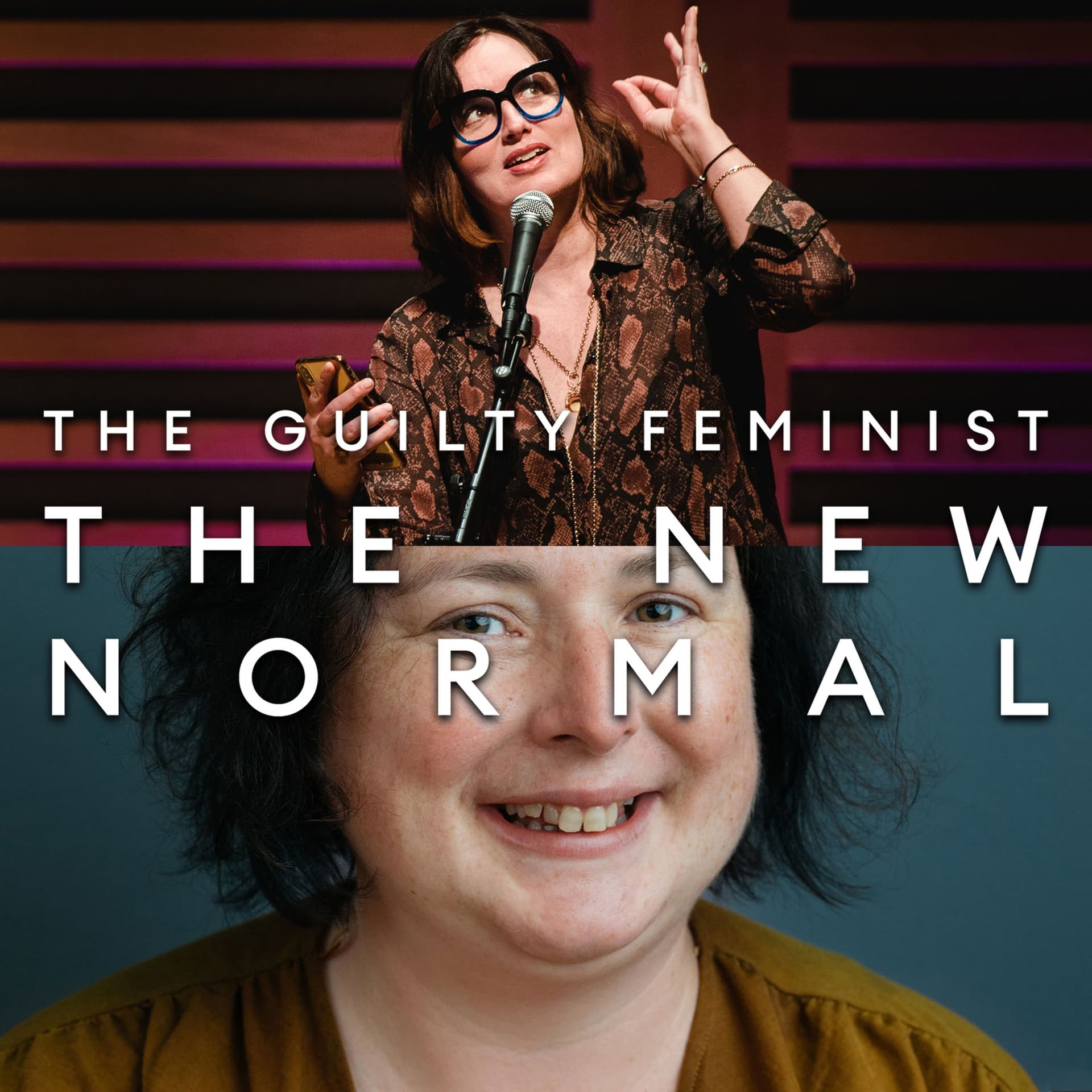 043 Siobhan McSweeney - The Guilty Feminist - The New Normal cover