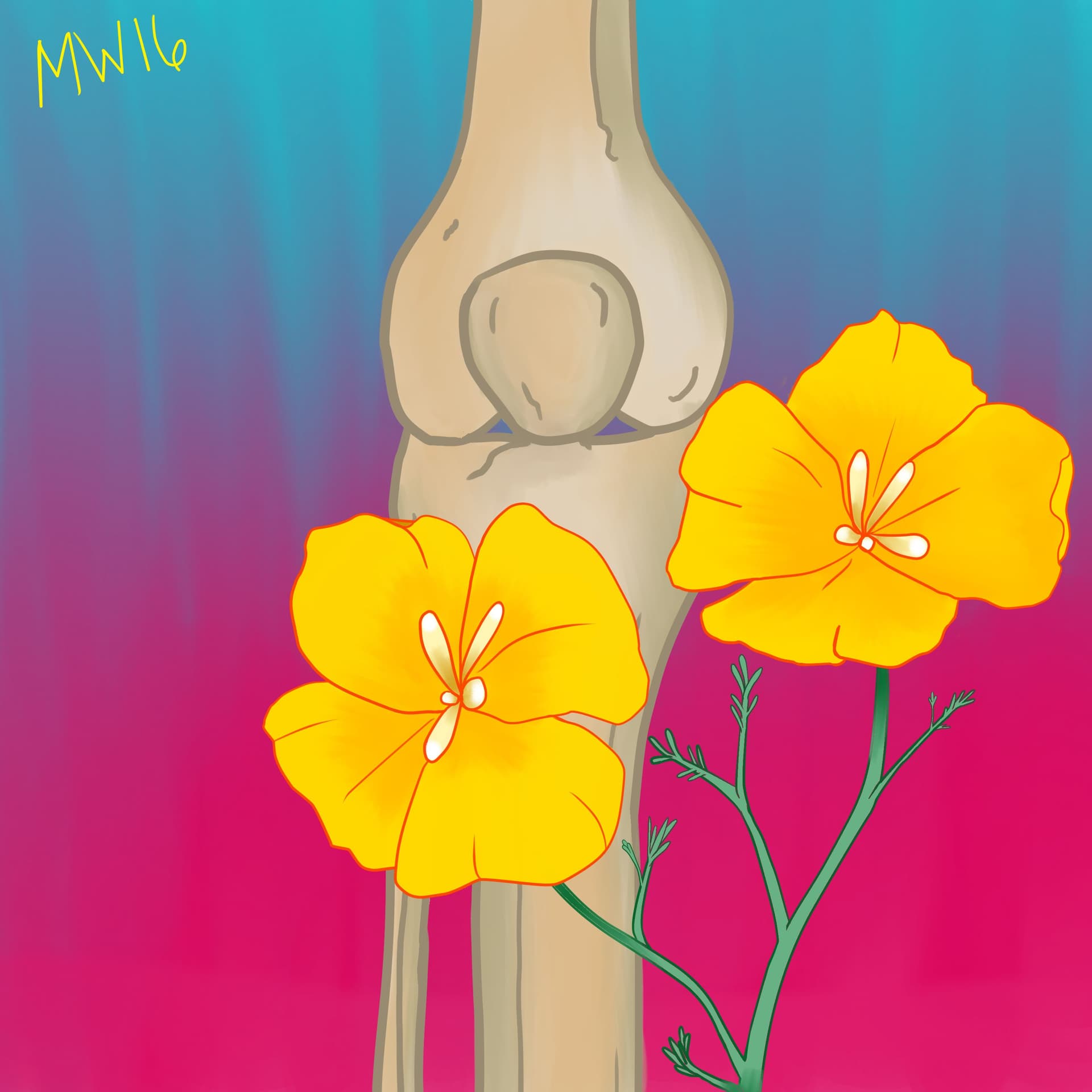 Episode 5 - Patella Me A Story - Bone Lab Radio cover