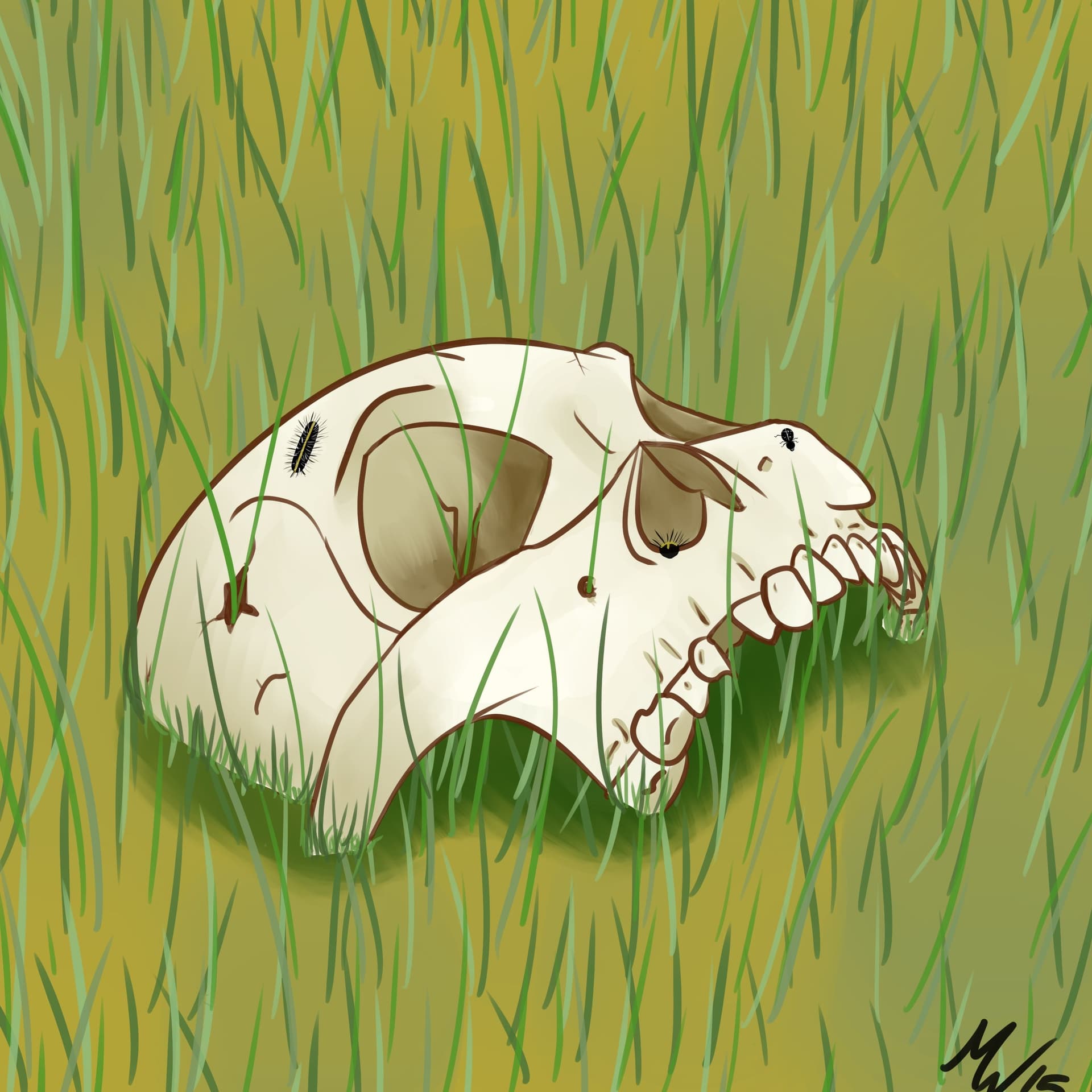 Episode 2 - Bones Don't Lie - Bone Lab Radio cover