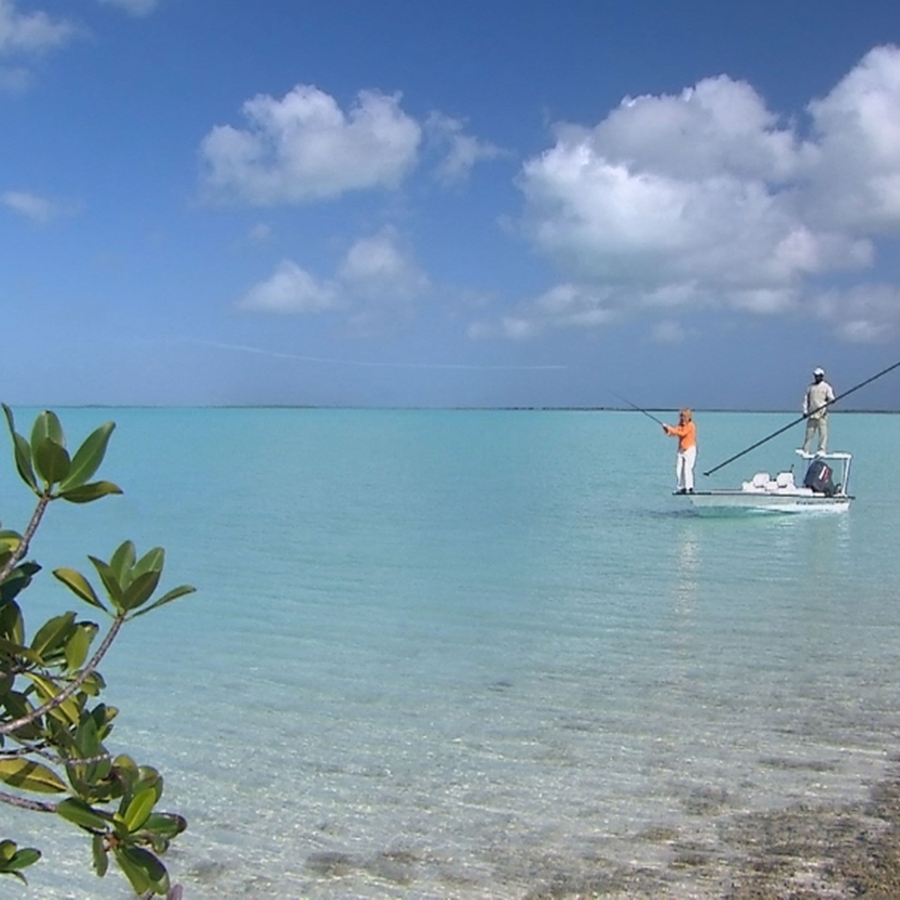 Bonus: Gone Fishing with Suze Orman - Surreal Estate cover