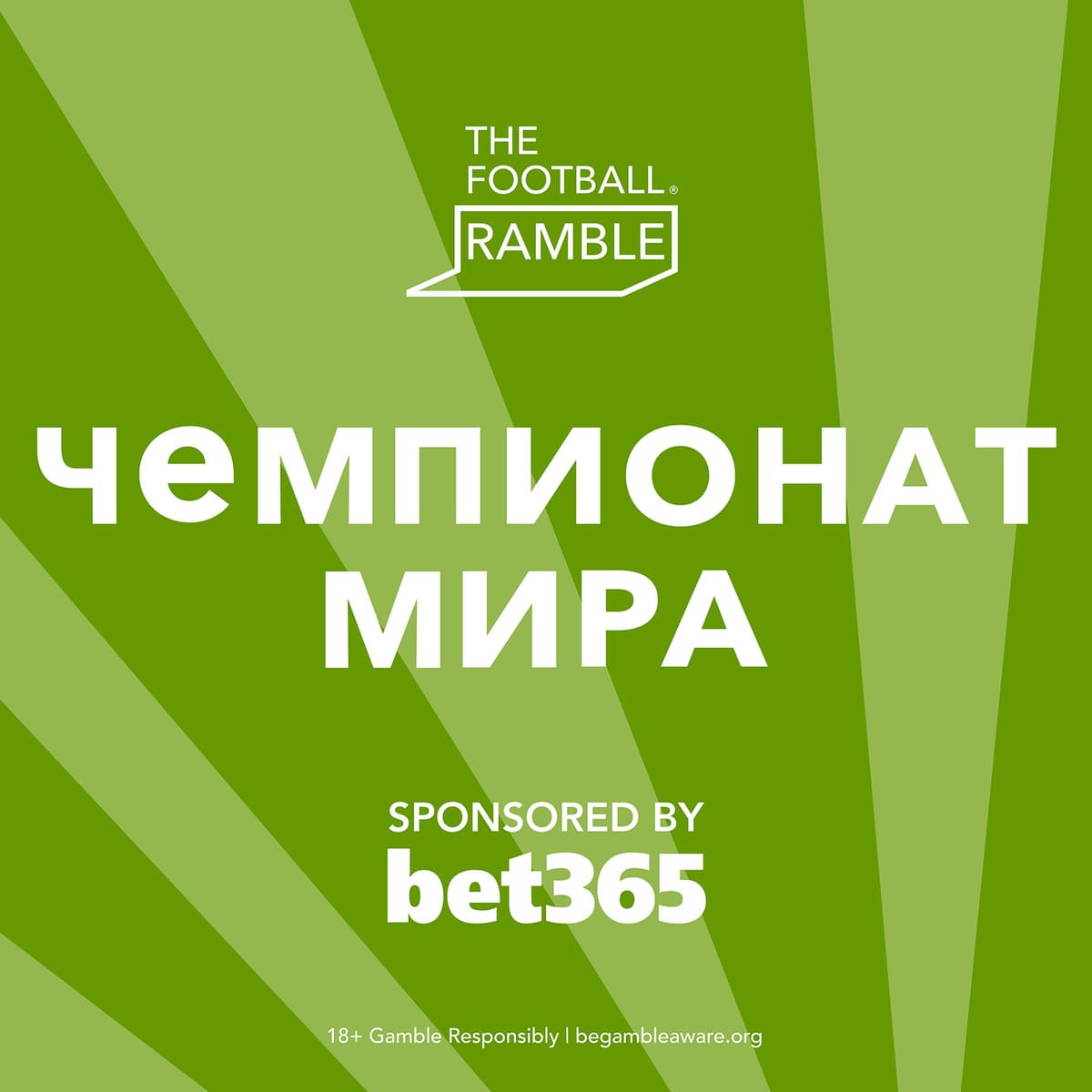 Write off: Germany crash out, Brazil get it done, England are up… - Football Ramble cover