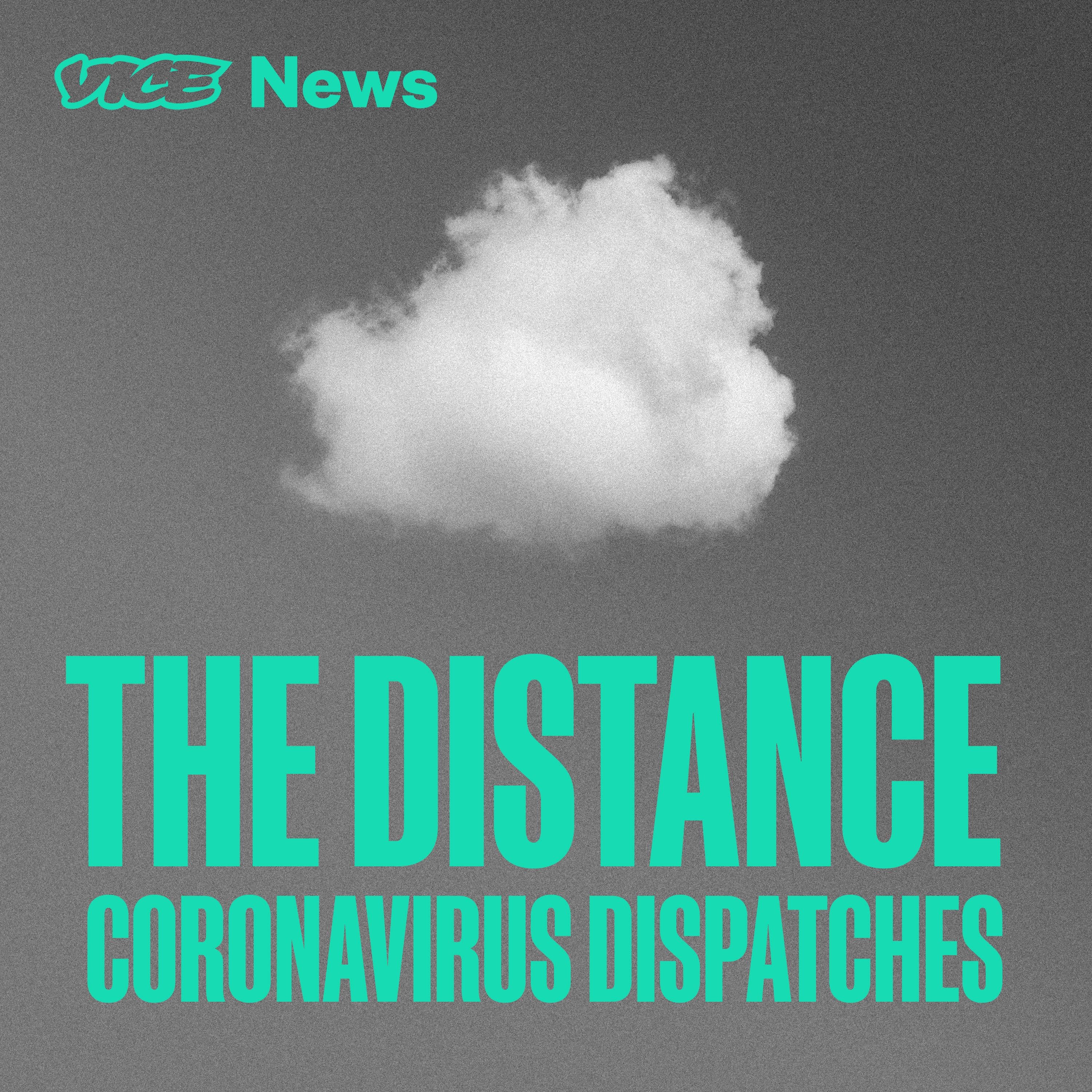 Homeschool - The Distance: Coronavirus Dispatches cover
