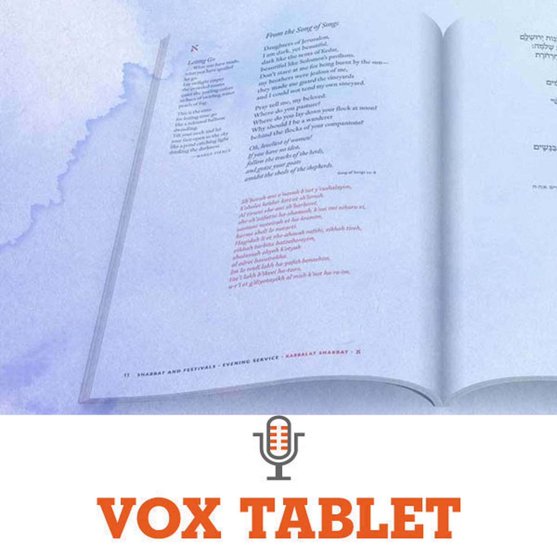 A New Kind of Prayerbook - Vox Tablet cover