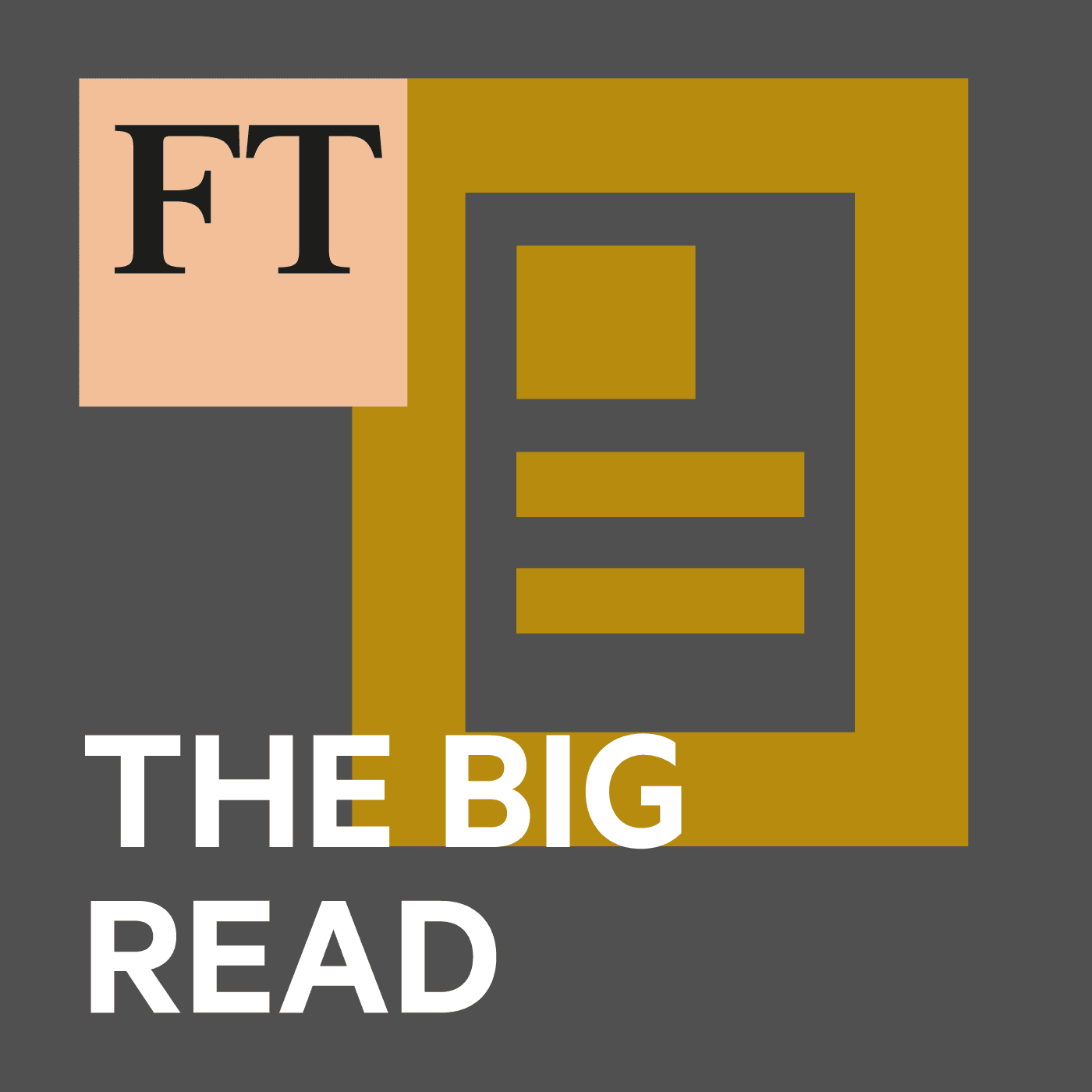 Egypt: Sisi's security state - FT Big Read cover