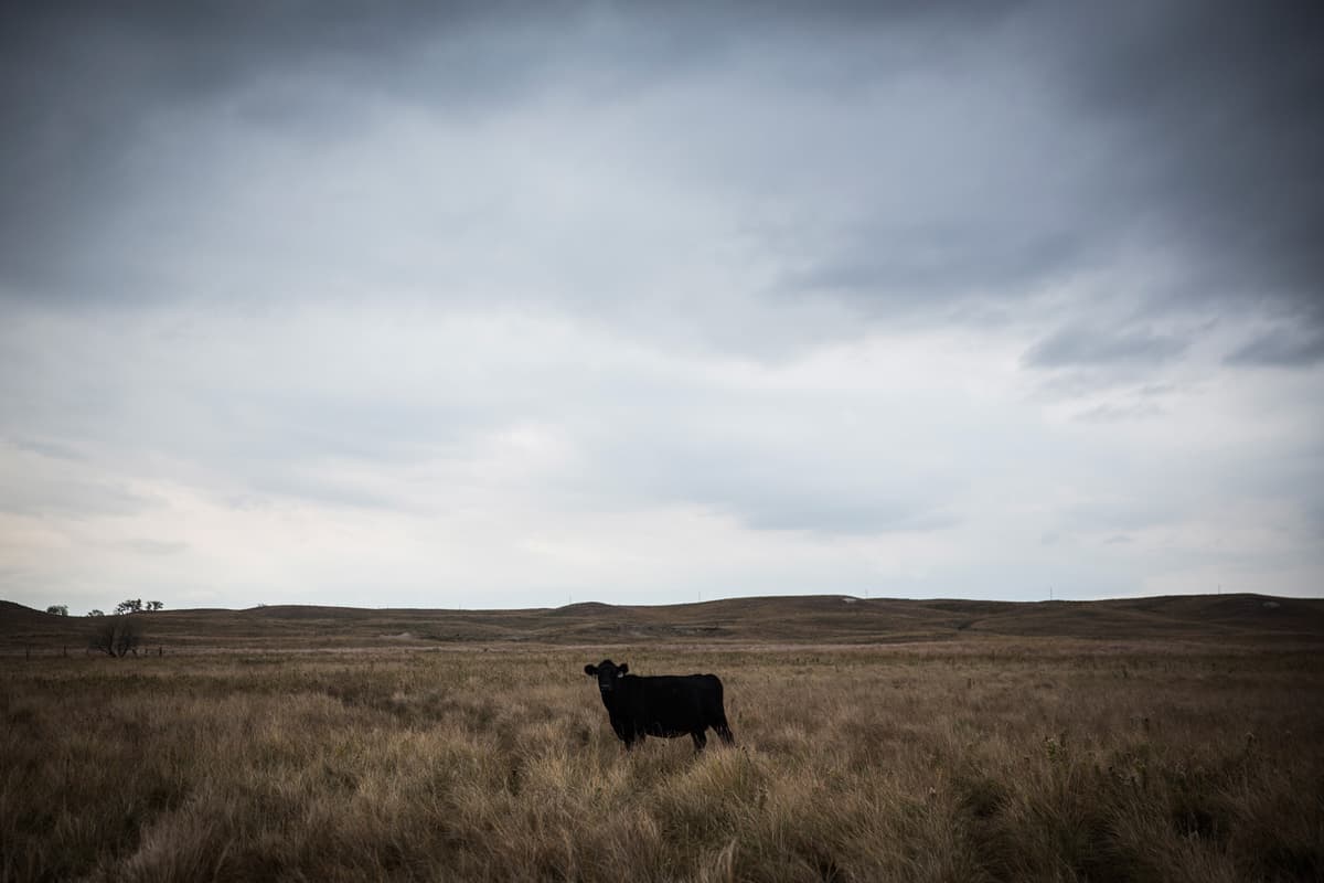 America's prairie tax haven - FT Investigations cover