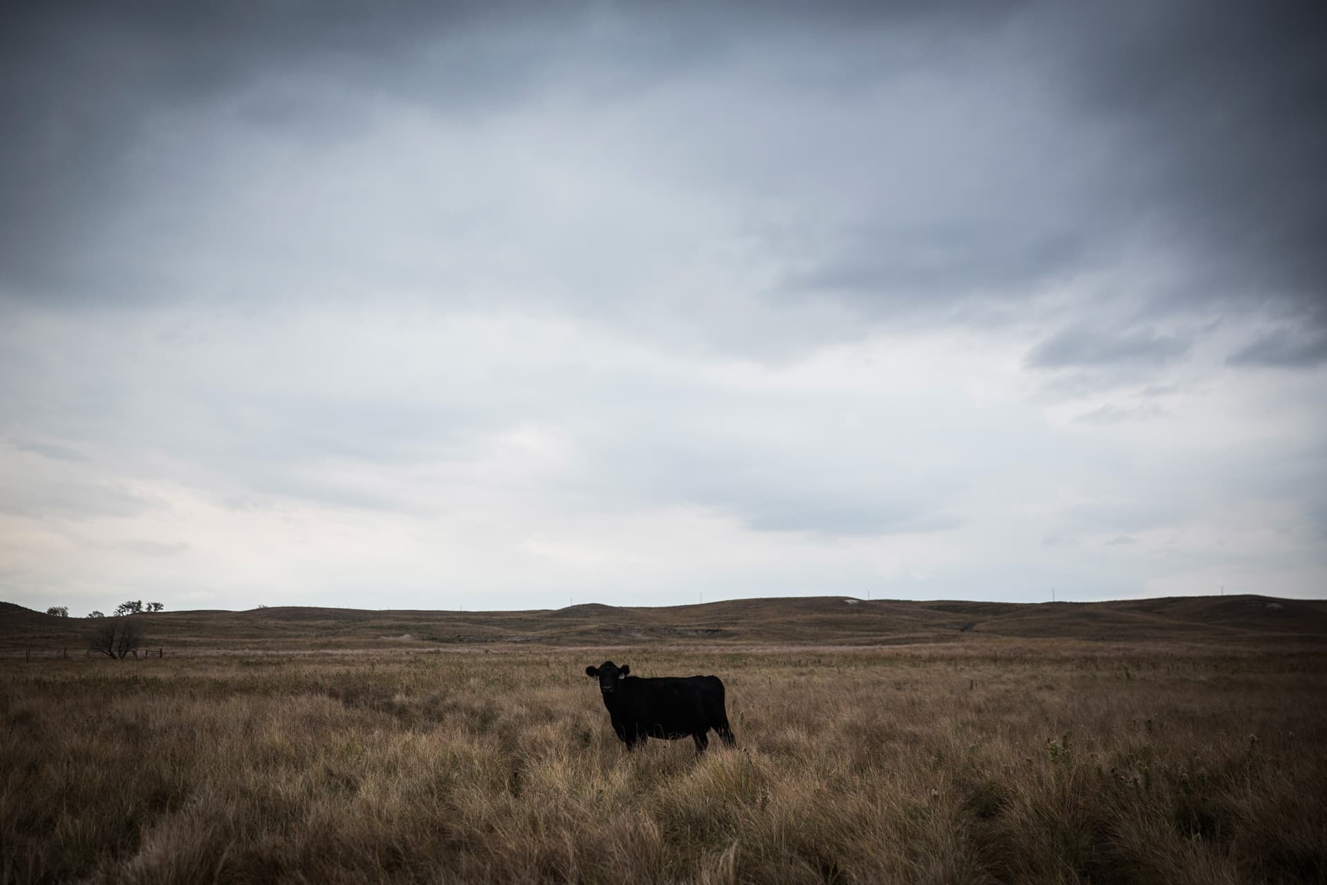 America's prairie tax haven - FT Investigations cover