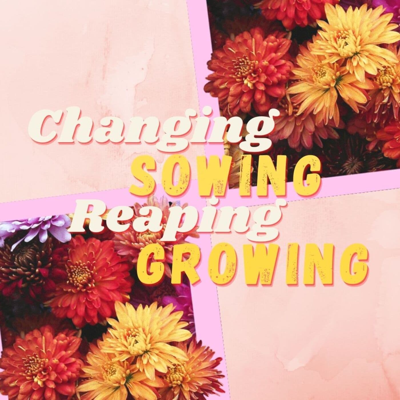 Changing, Sowing, Reaping, Growing - Sunny Side Up cover
