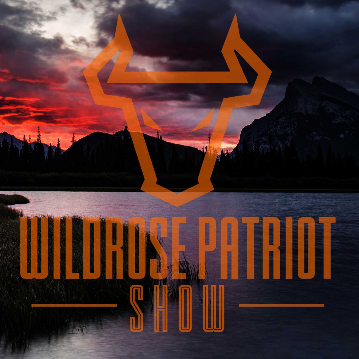 Guns, Guns, Guns - Wildrose Patriot Show cover