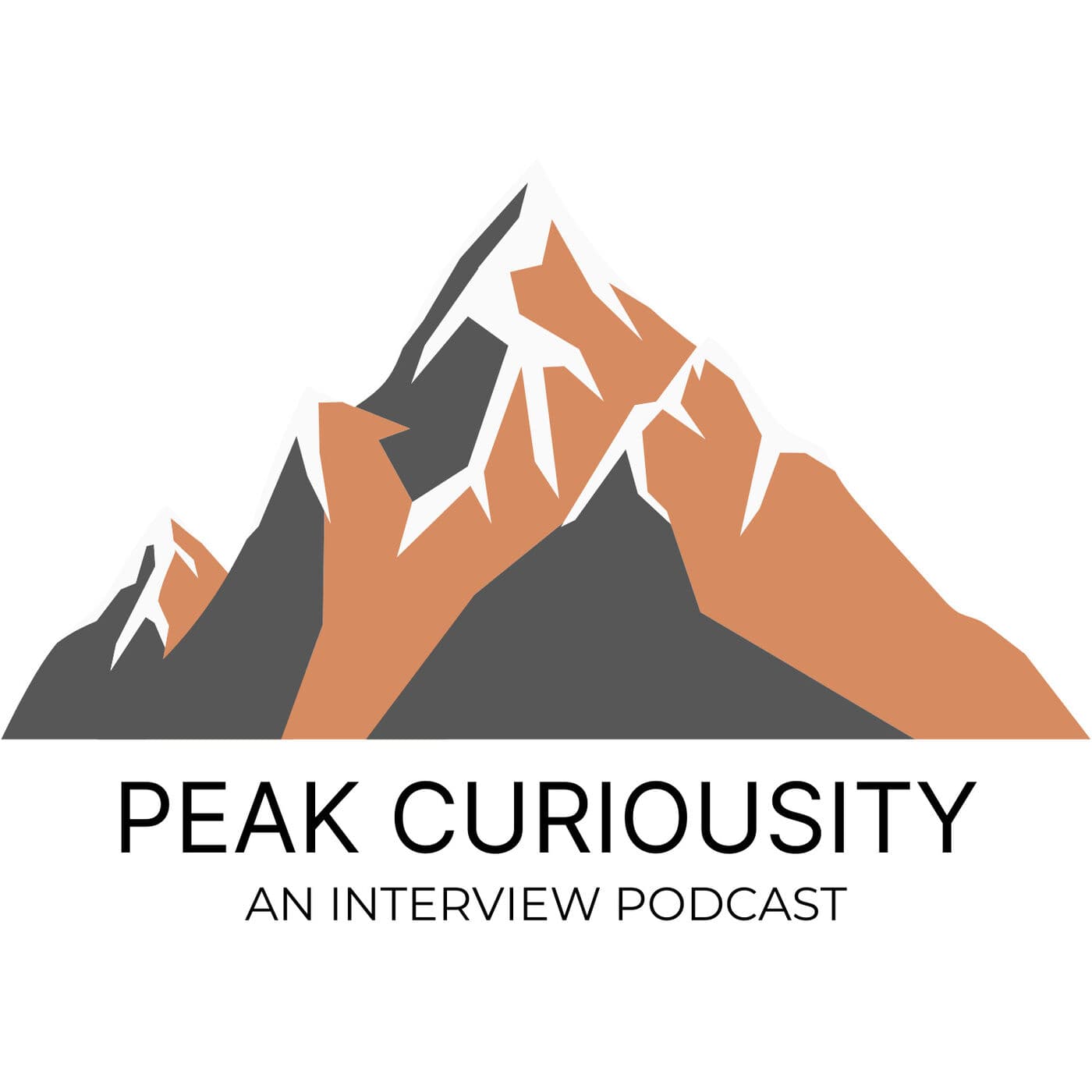 #66 My Favorite Chapter I Read This Year (2021) - Peak Curiousity cover