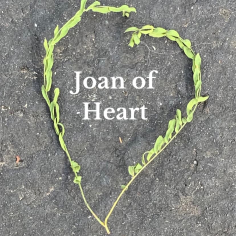 Joan of Heart cover
